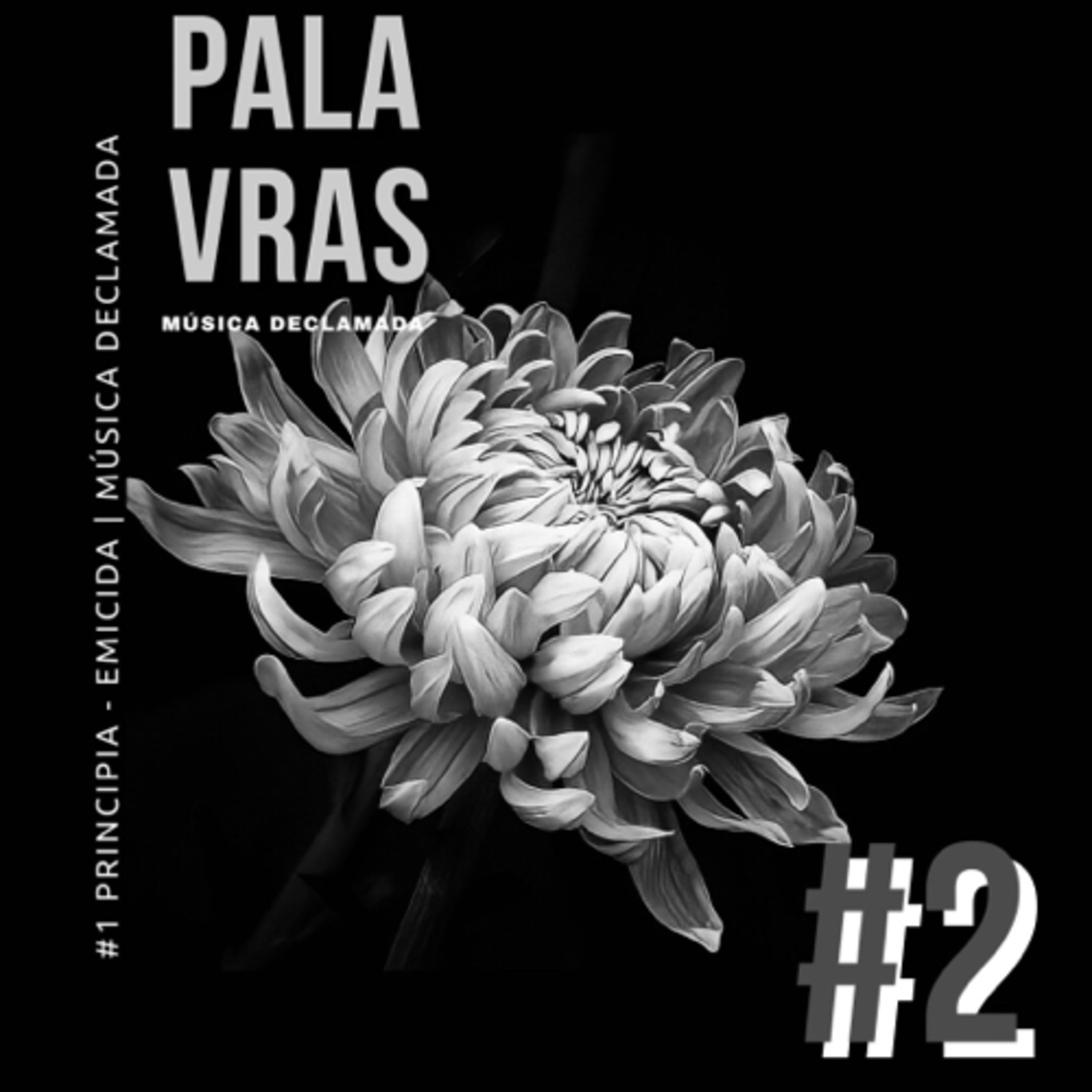 palavras