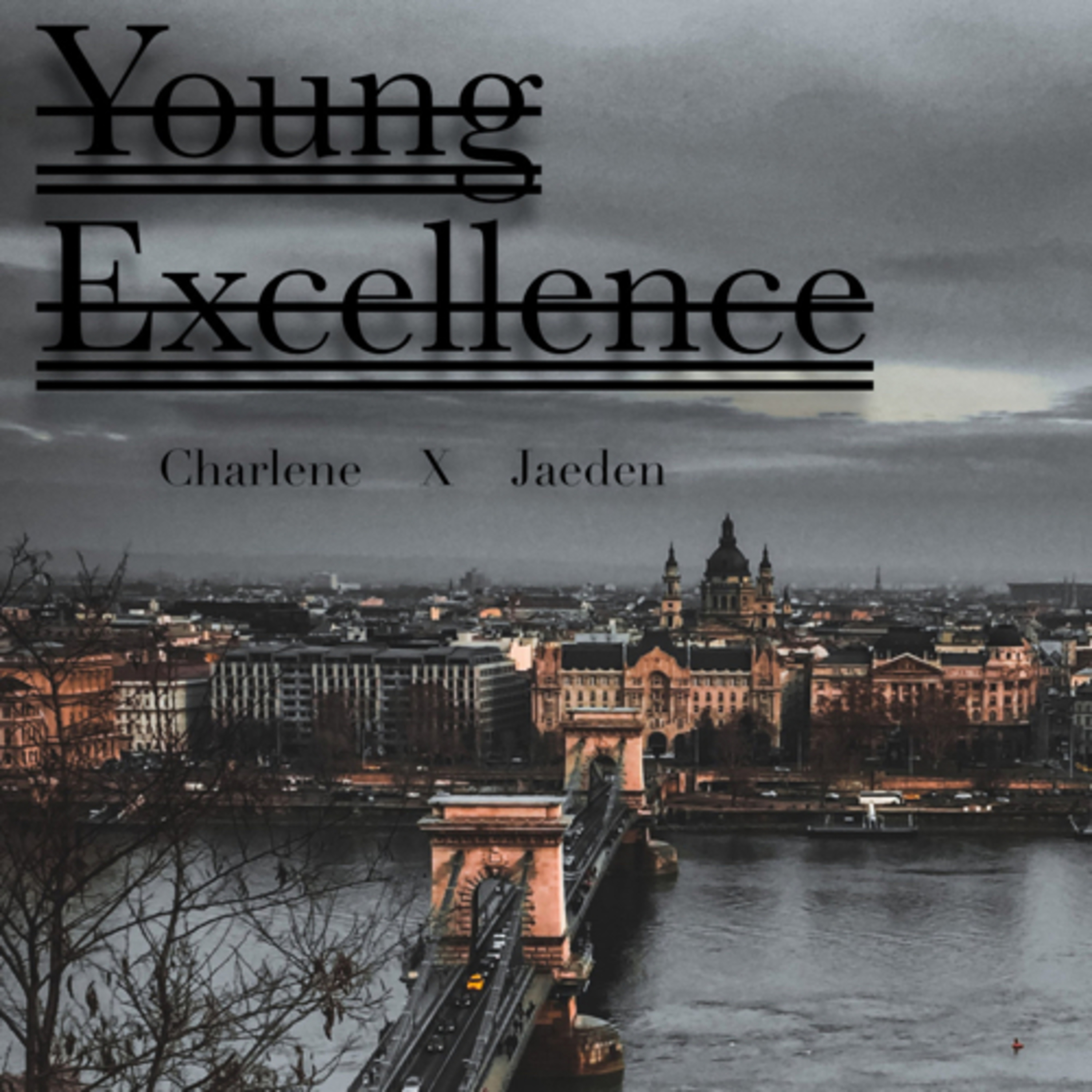 Young Excellence