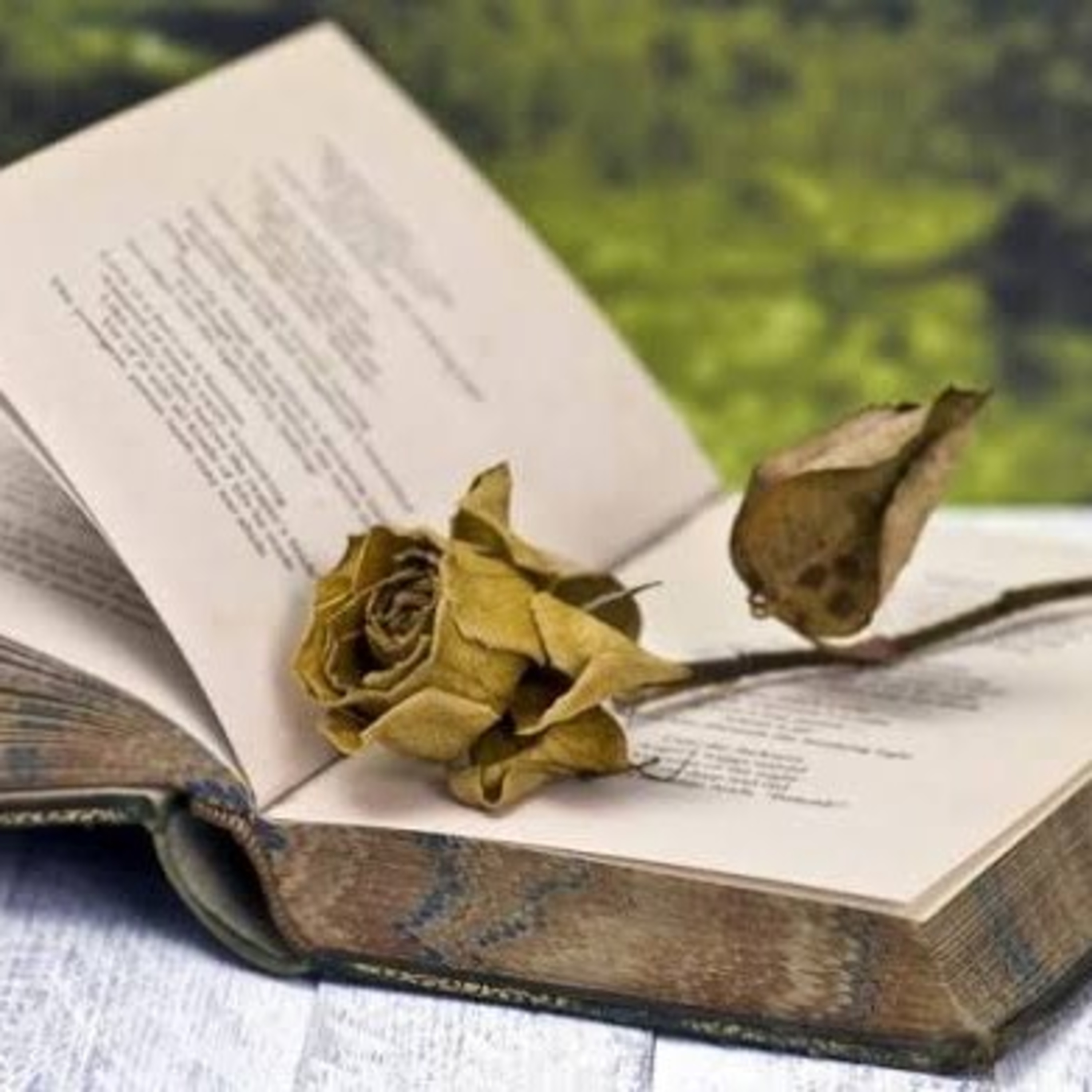 Géneros Literarios episode artwork