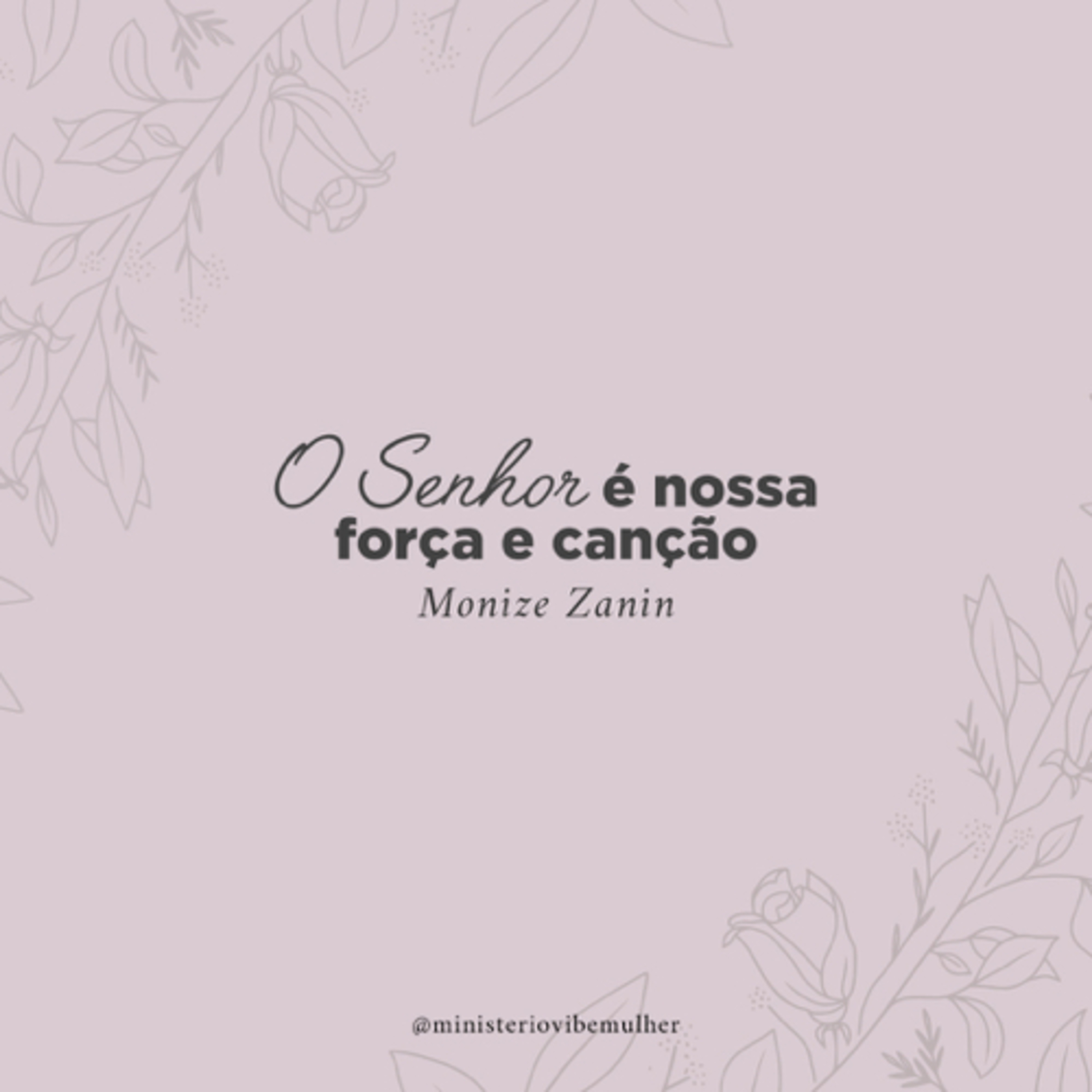 Ministério Vibe Mulher