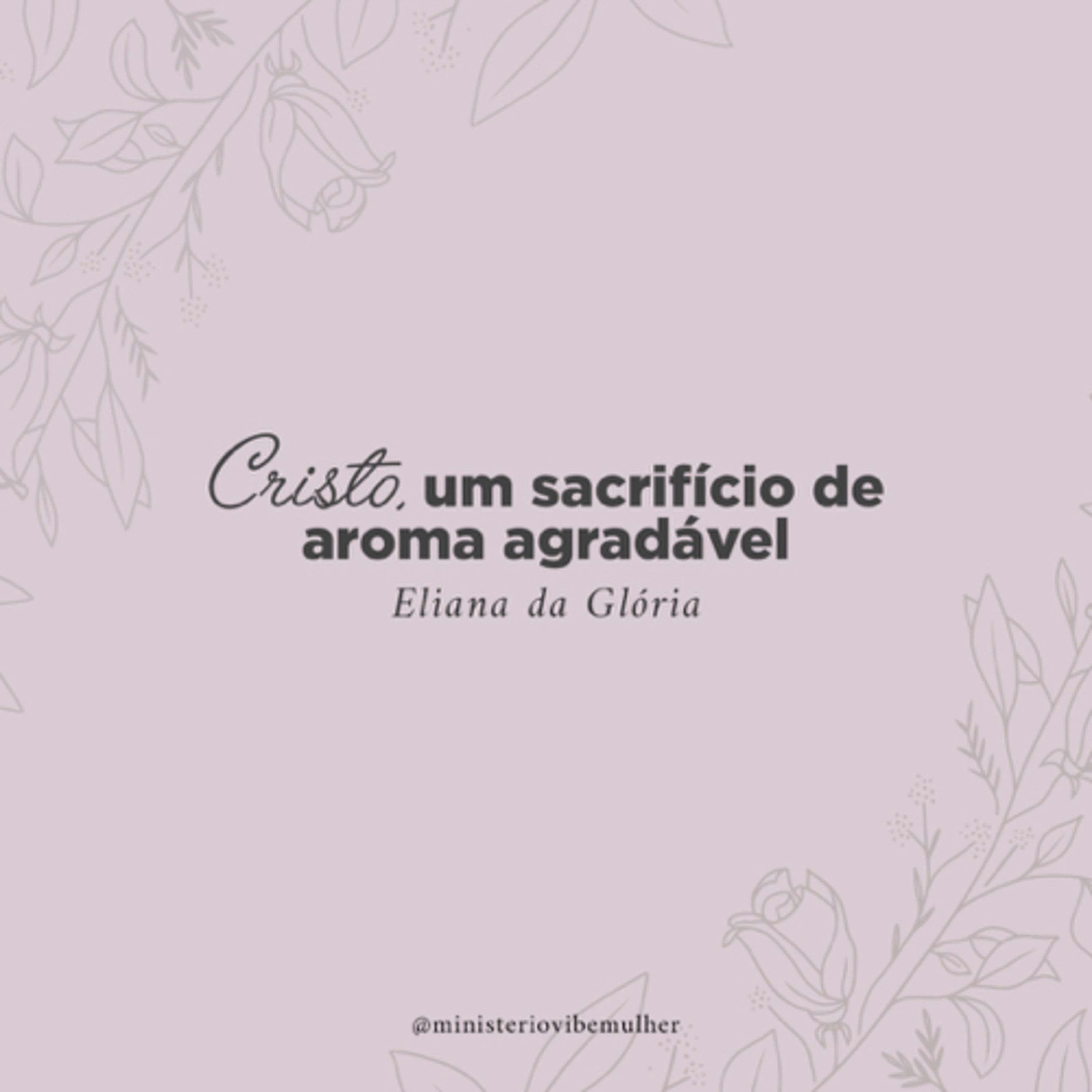 Ministério Vibe Mulher