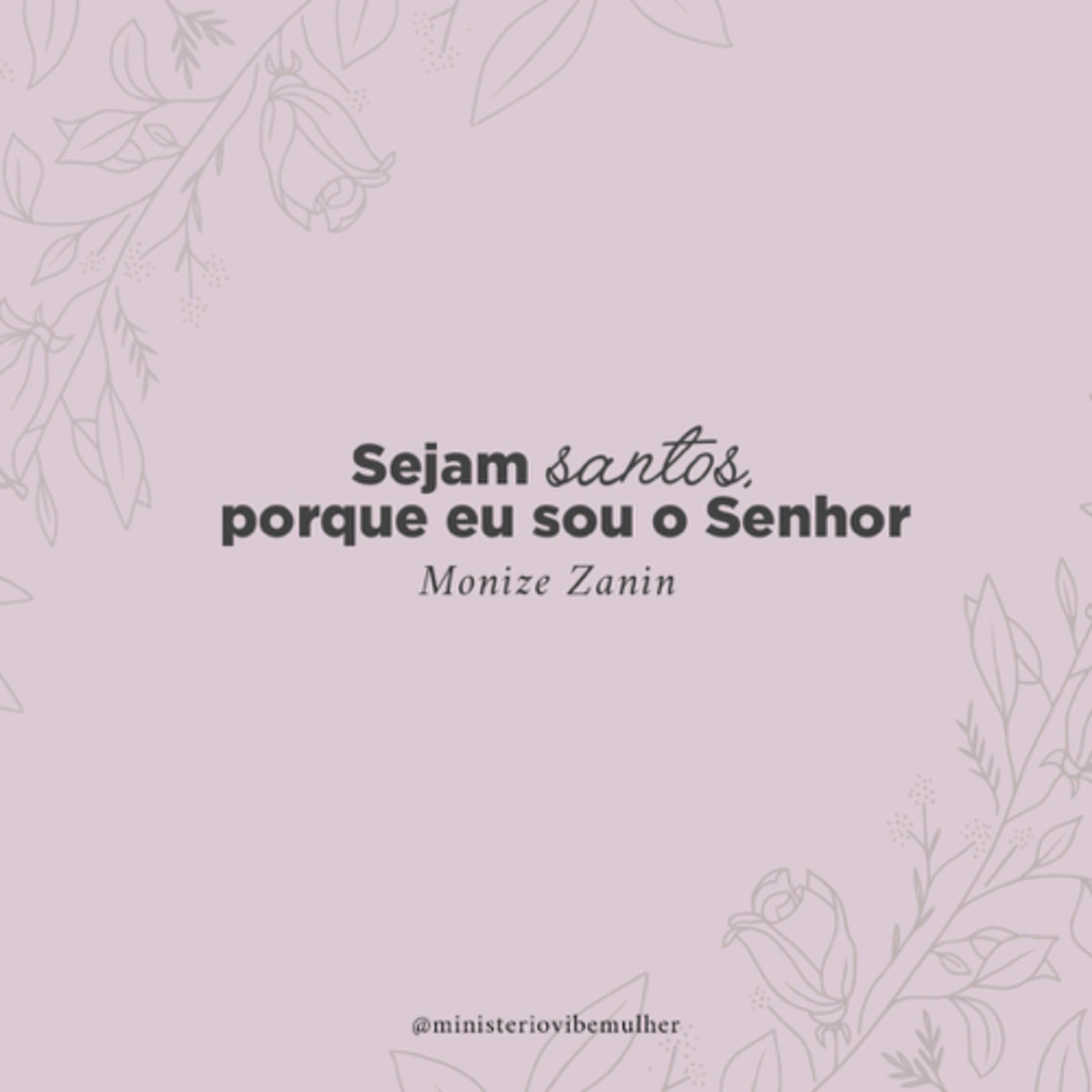 Ministério Vibe Mulher