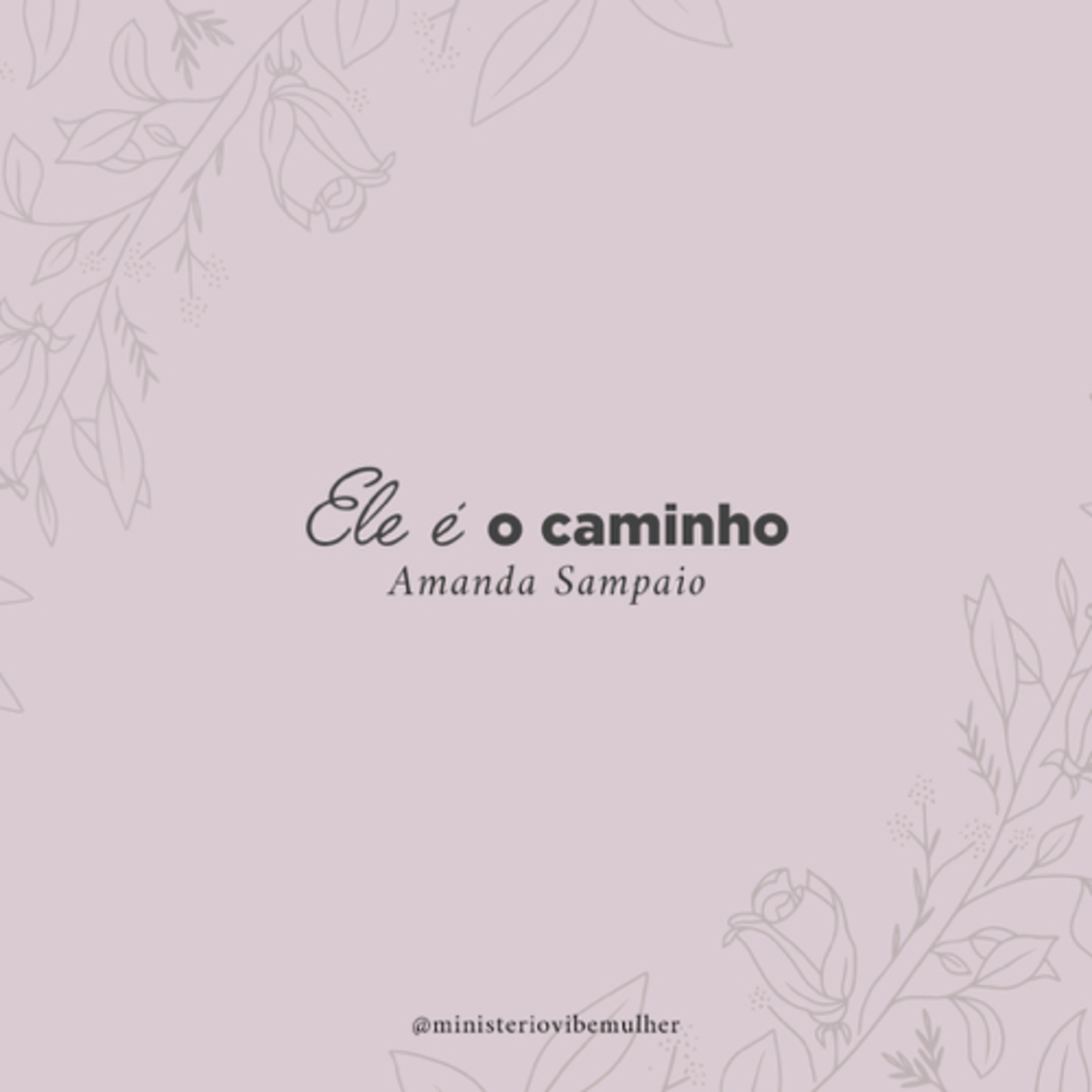 Ministério Vibe Mulher