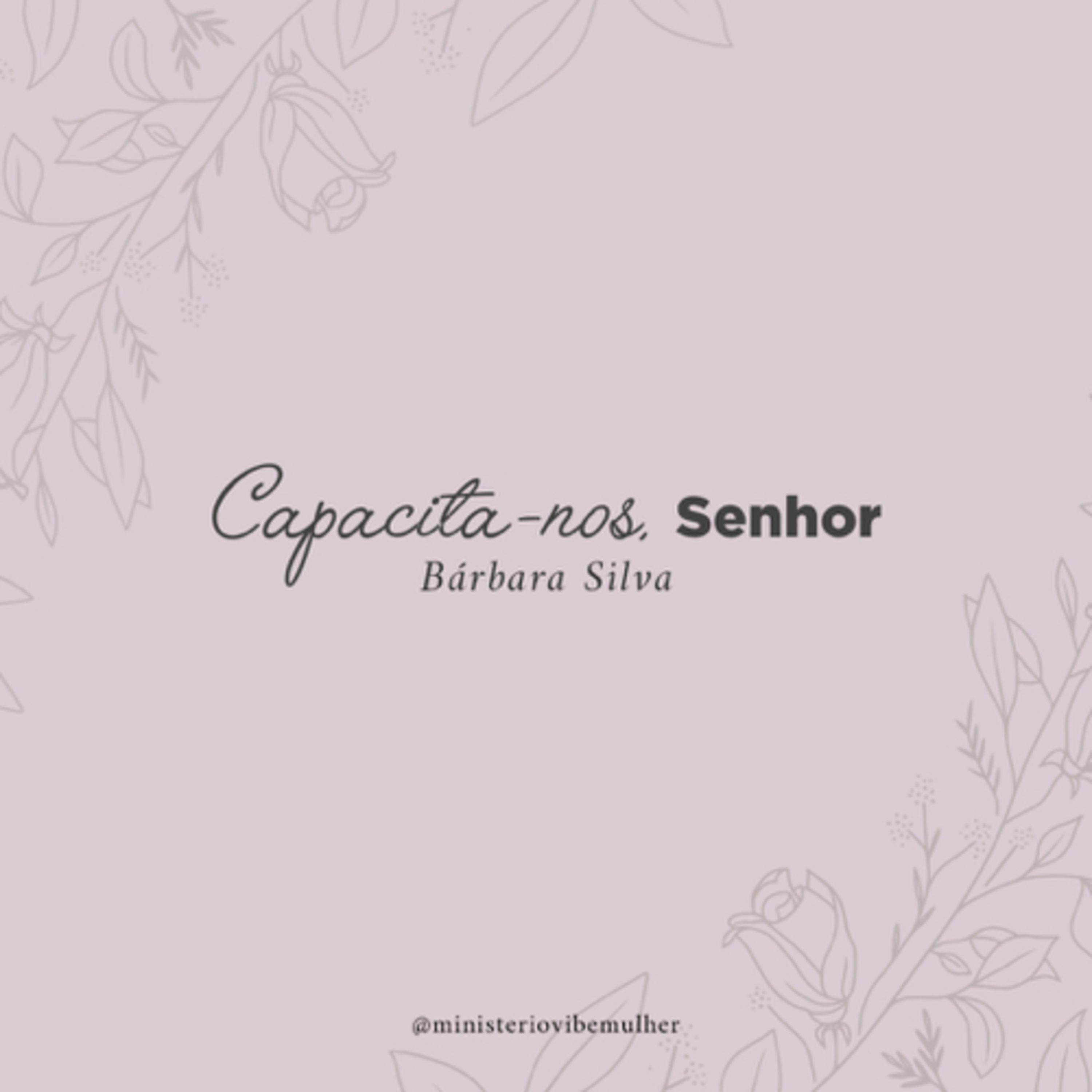 Ministério Vibe Mulher