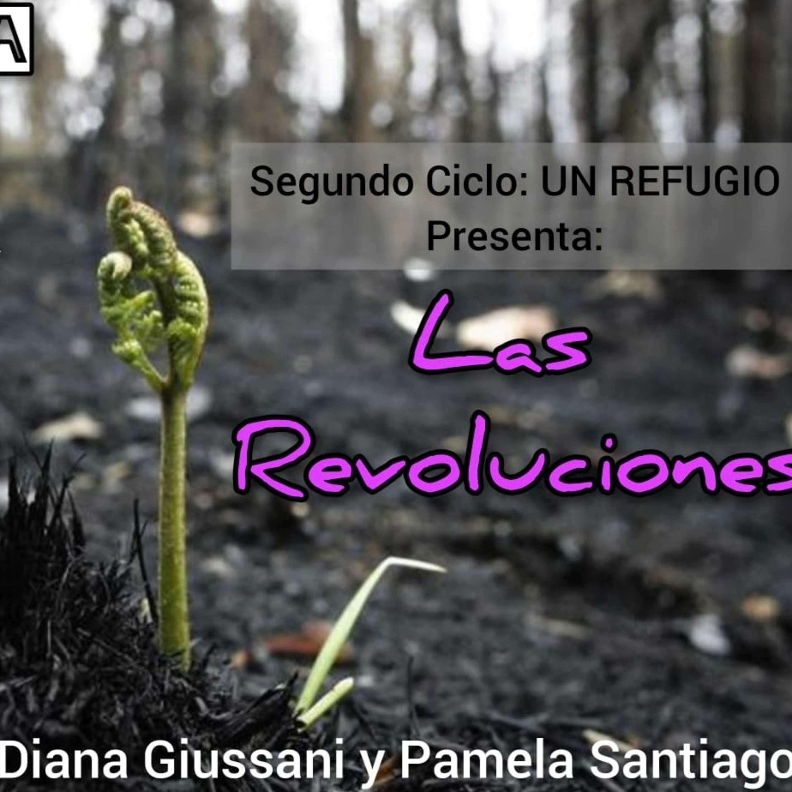 Nuestra Tierra En Pandemia. UN REFUGIO con Canciones, Cuentos. Y La Pregunta ELLAS DONDE ESTÁN?