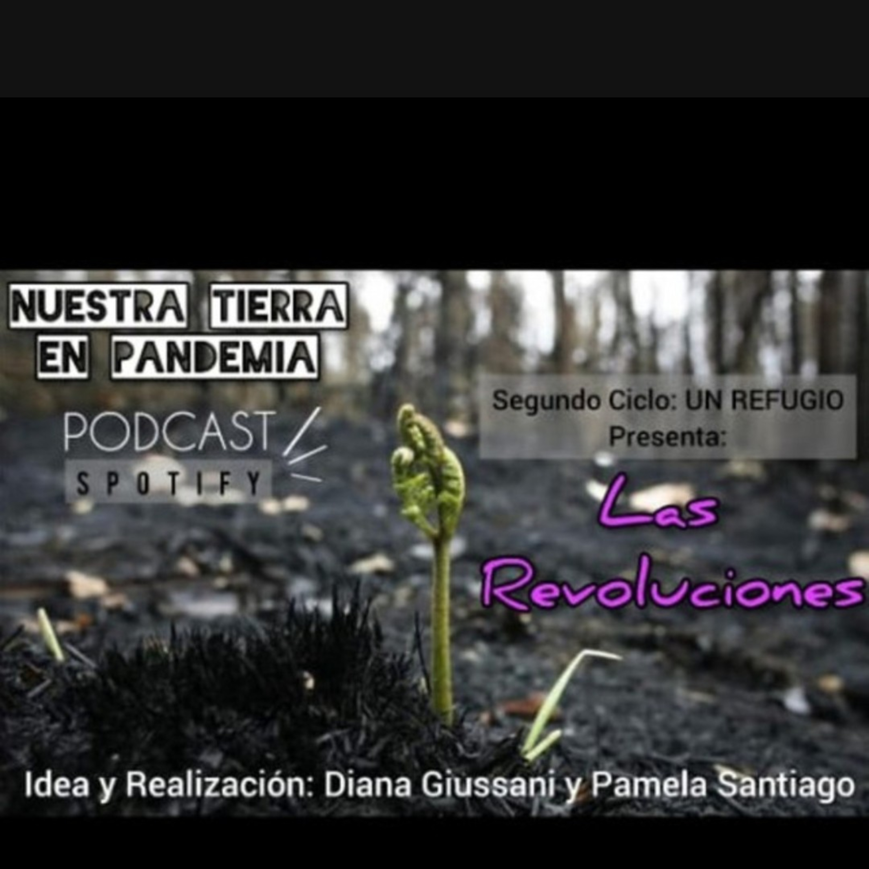 Nuestra Tierra En Pandemia. UN REFUGIO con Canciones, Cuentos. Y La Pregunta ELLAS DONDE ESTÁN?