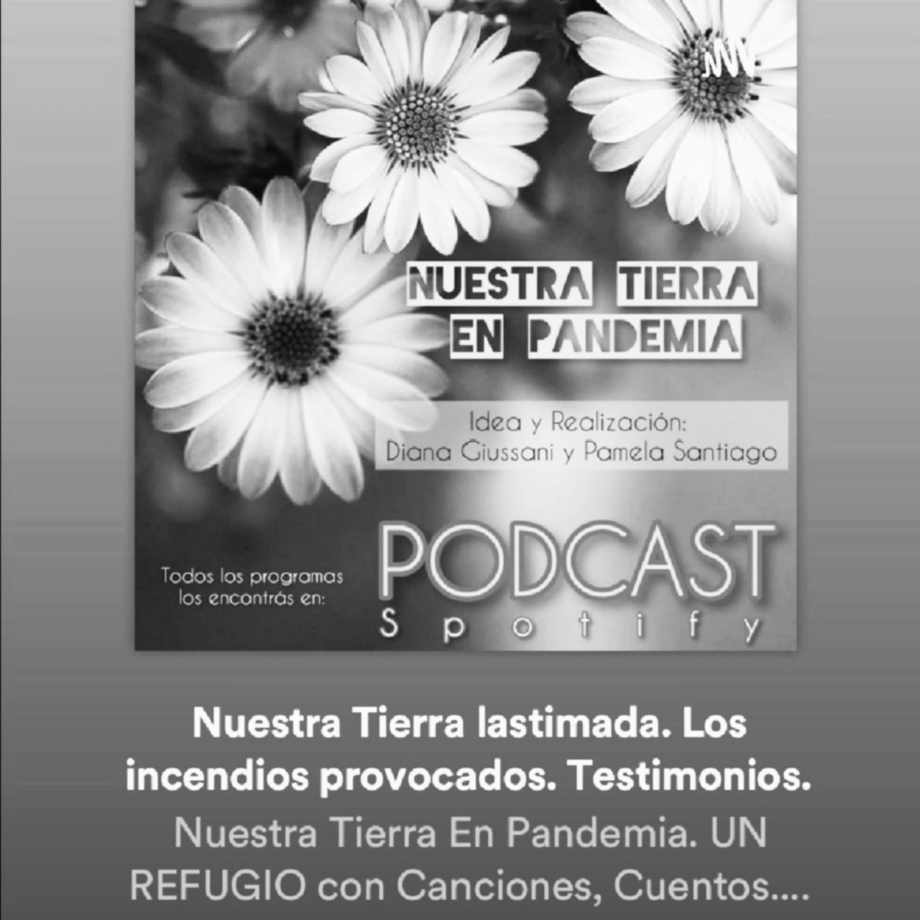 Nuestra Tierra En Pandemia. UN REFUGIO con Canciones, Cuentos. Y La Pregunta ELLAS DONDE ESTÁN?