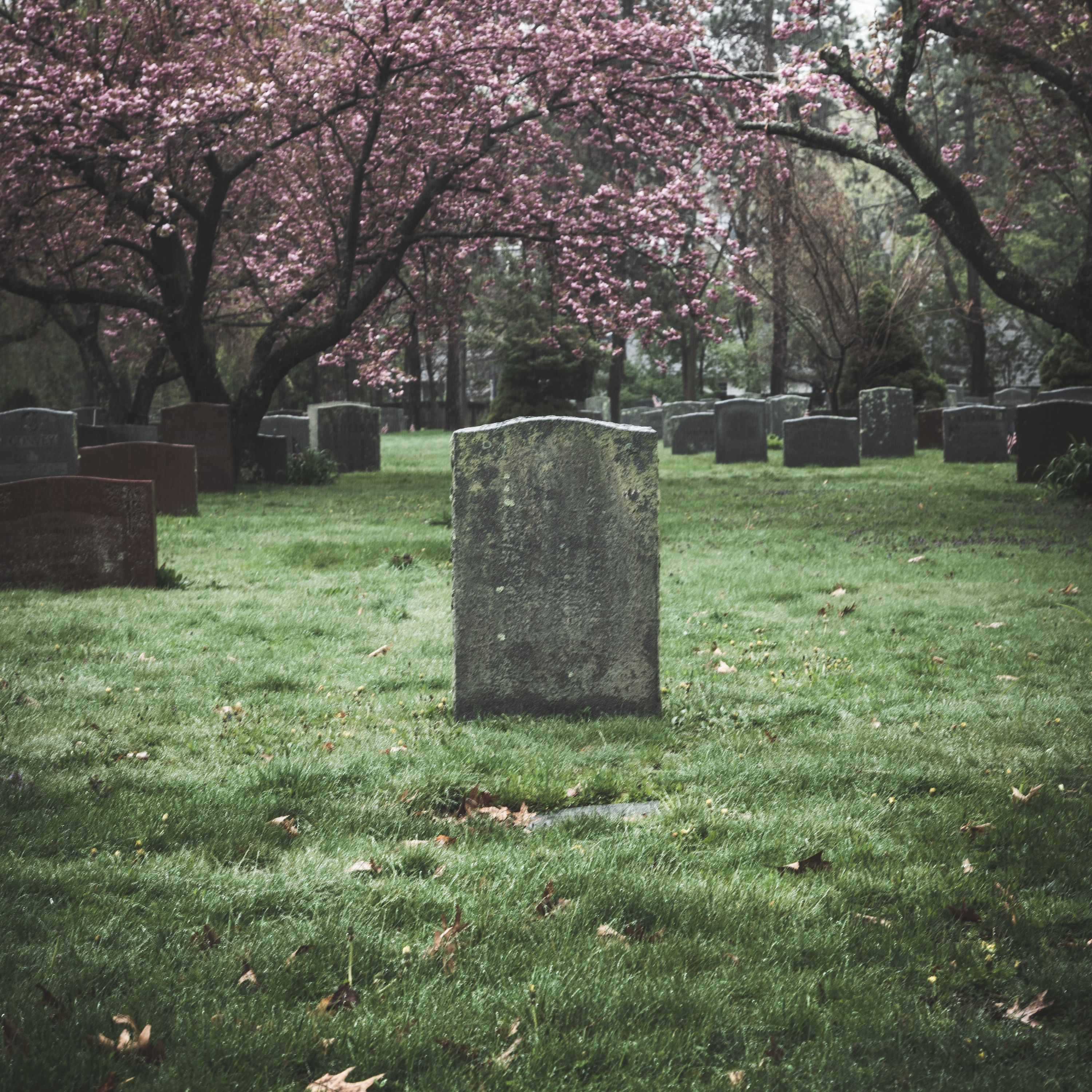 The Legacy We Leave Behind - Richard E. Simmons III episode artwork