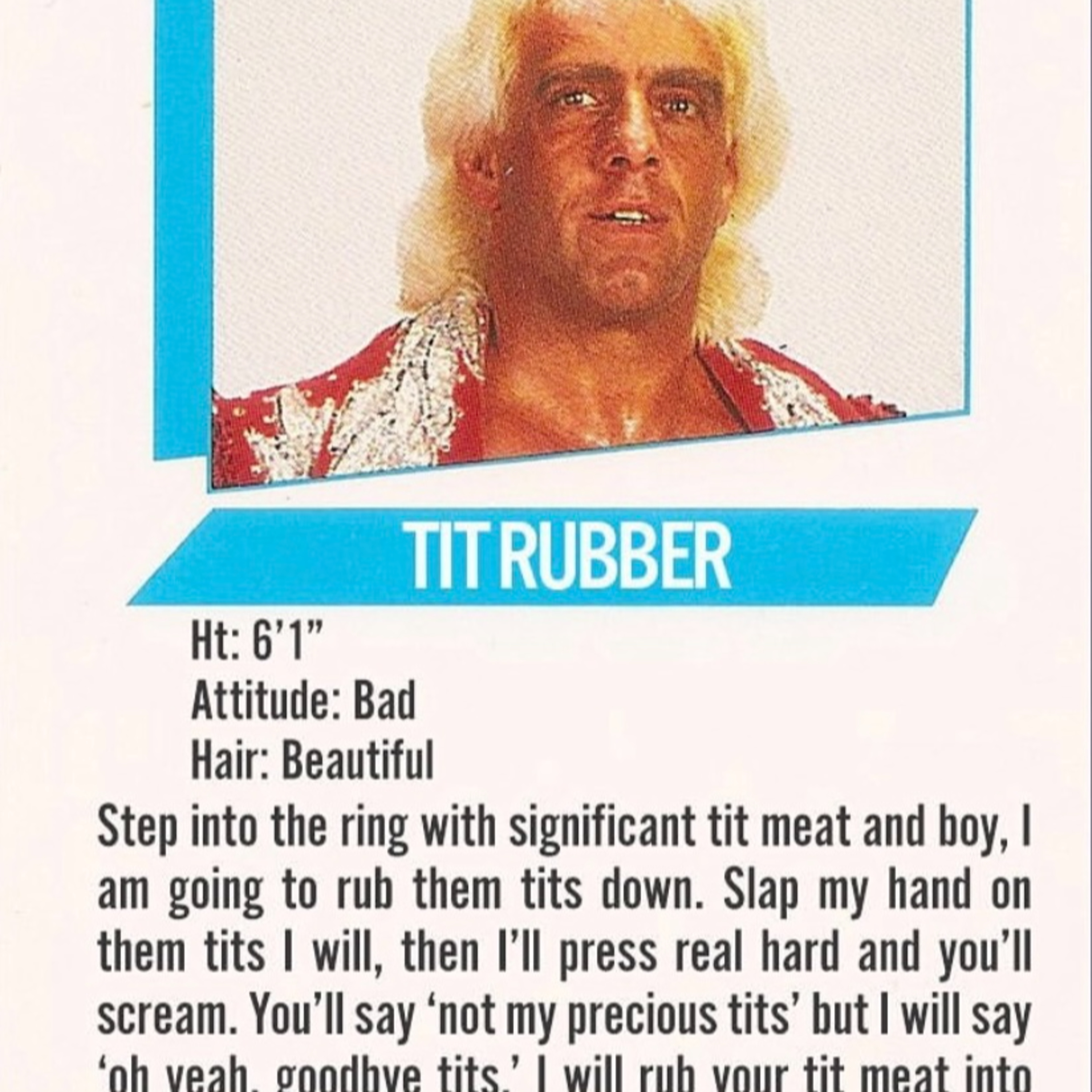 Ric Flair and More! episode artwork