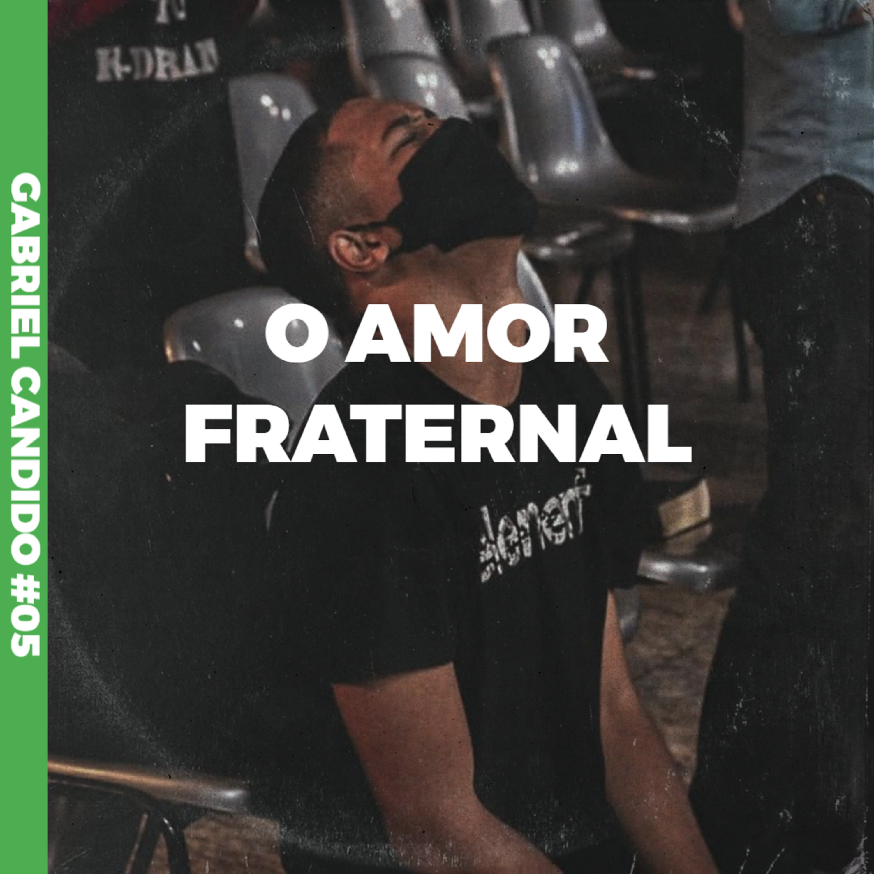 O amor fraternal episode artwork