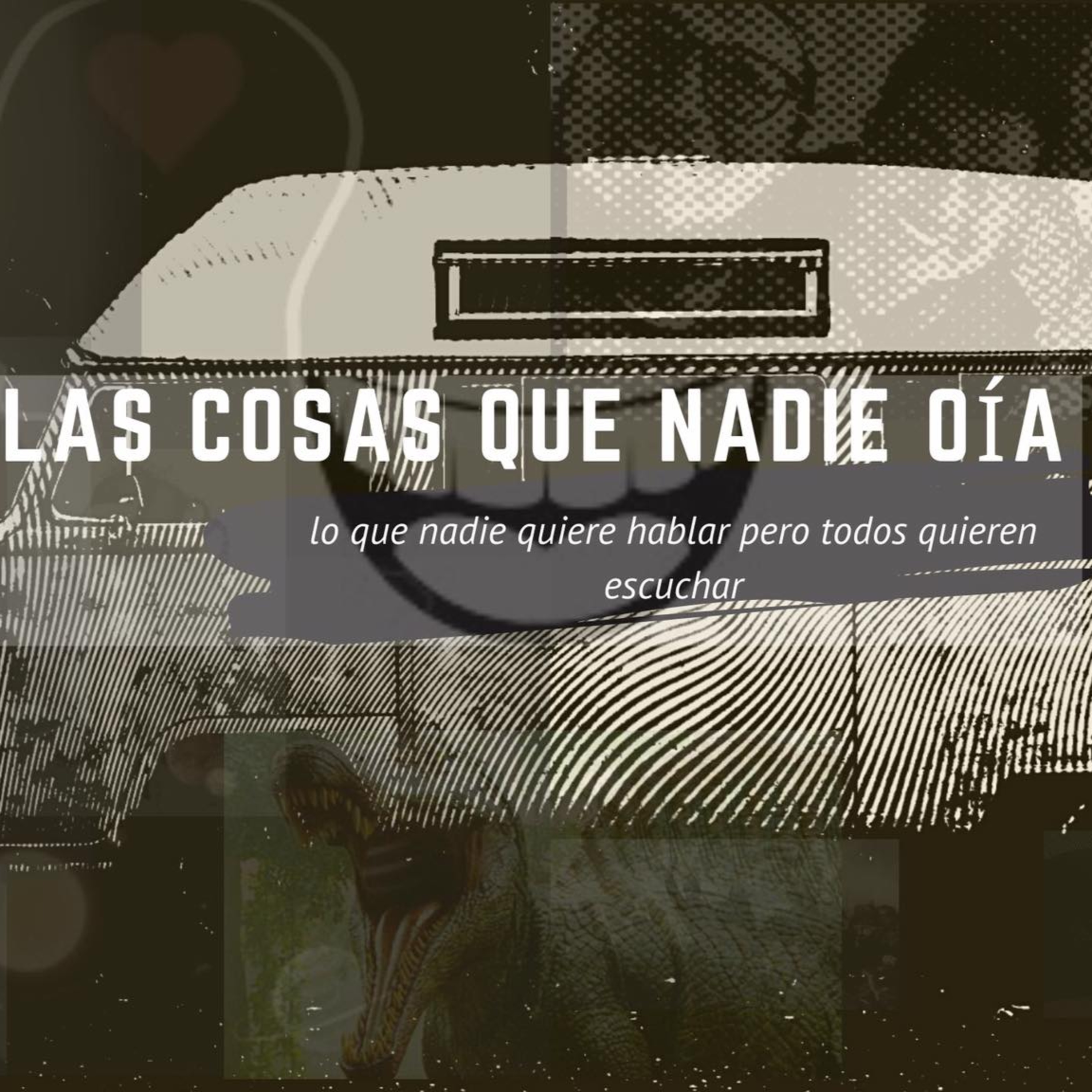Las cosas que nadie oía