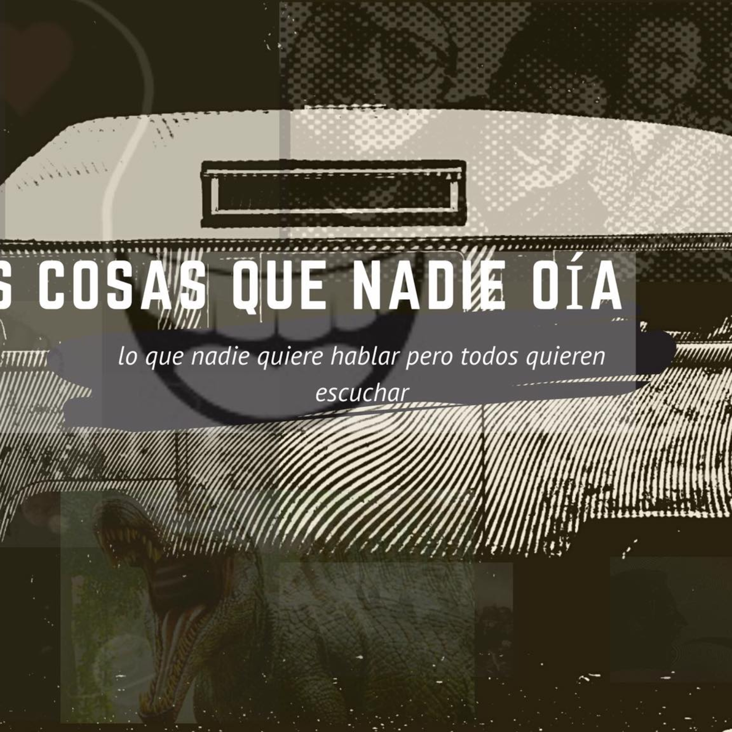 Las cosas que nadie oía