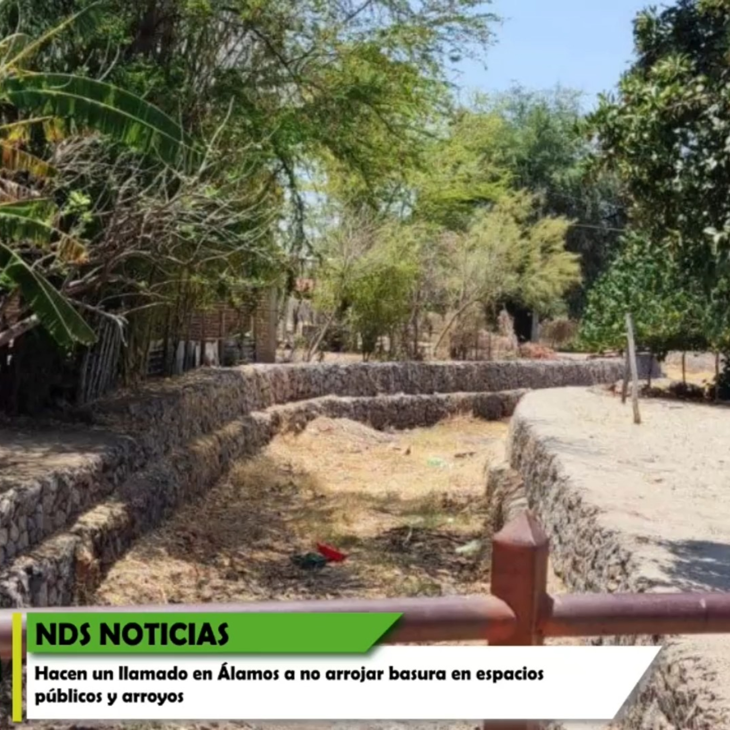 NDS NOTICIAS