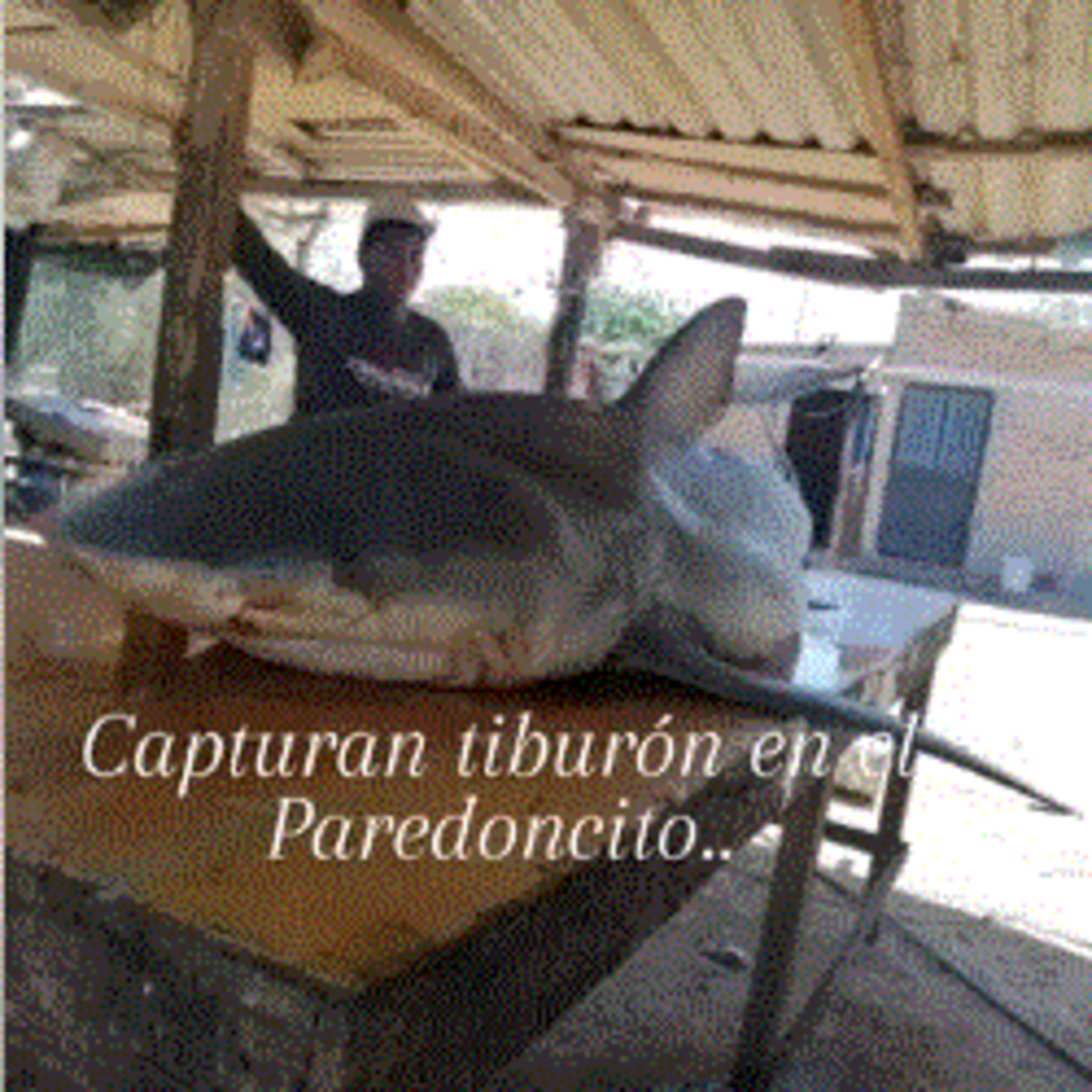 NDS NOTICIAS