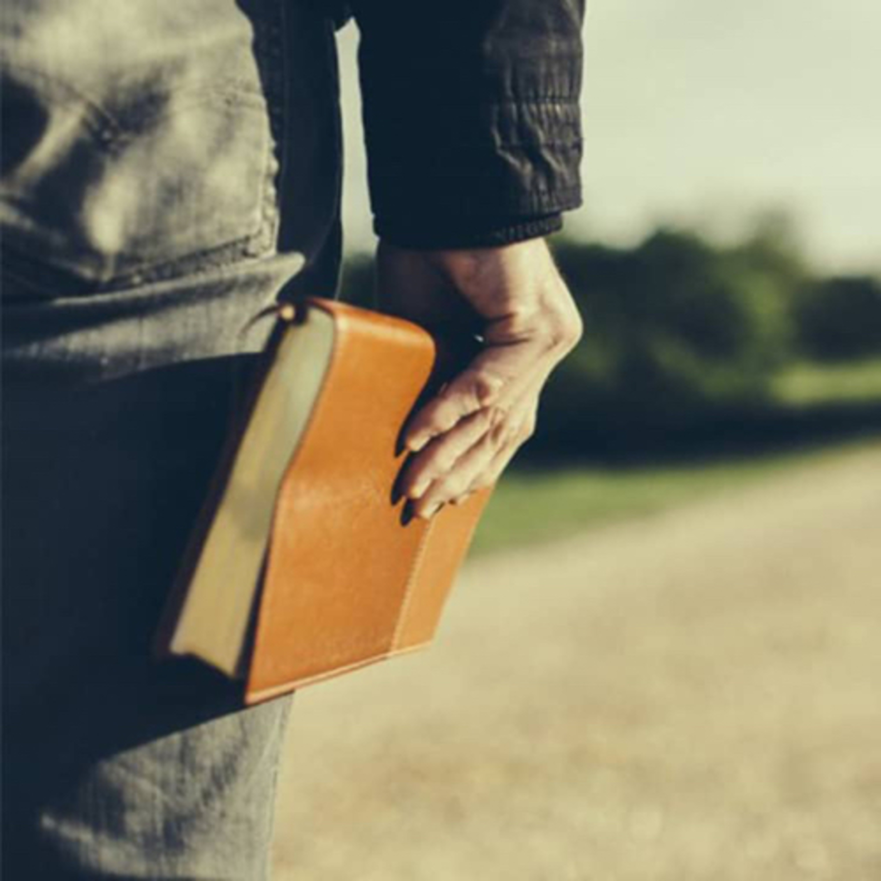 The Bible Study Podcast 🎙