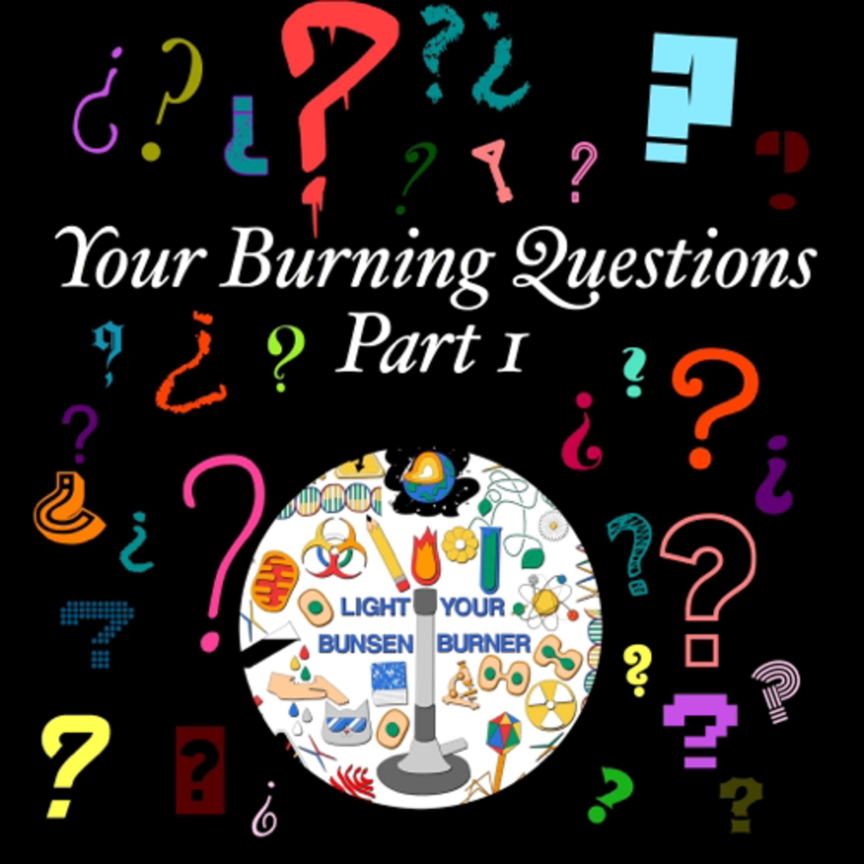 Light Your Bunsen Burner