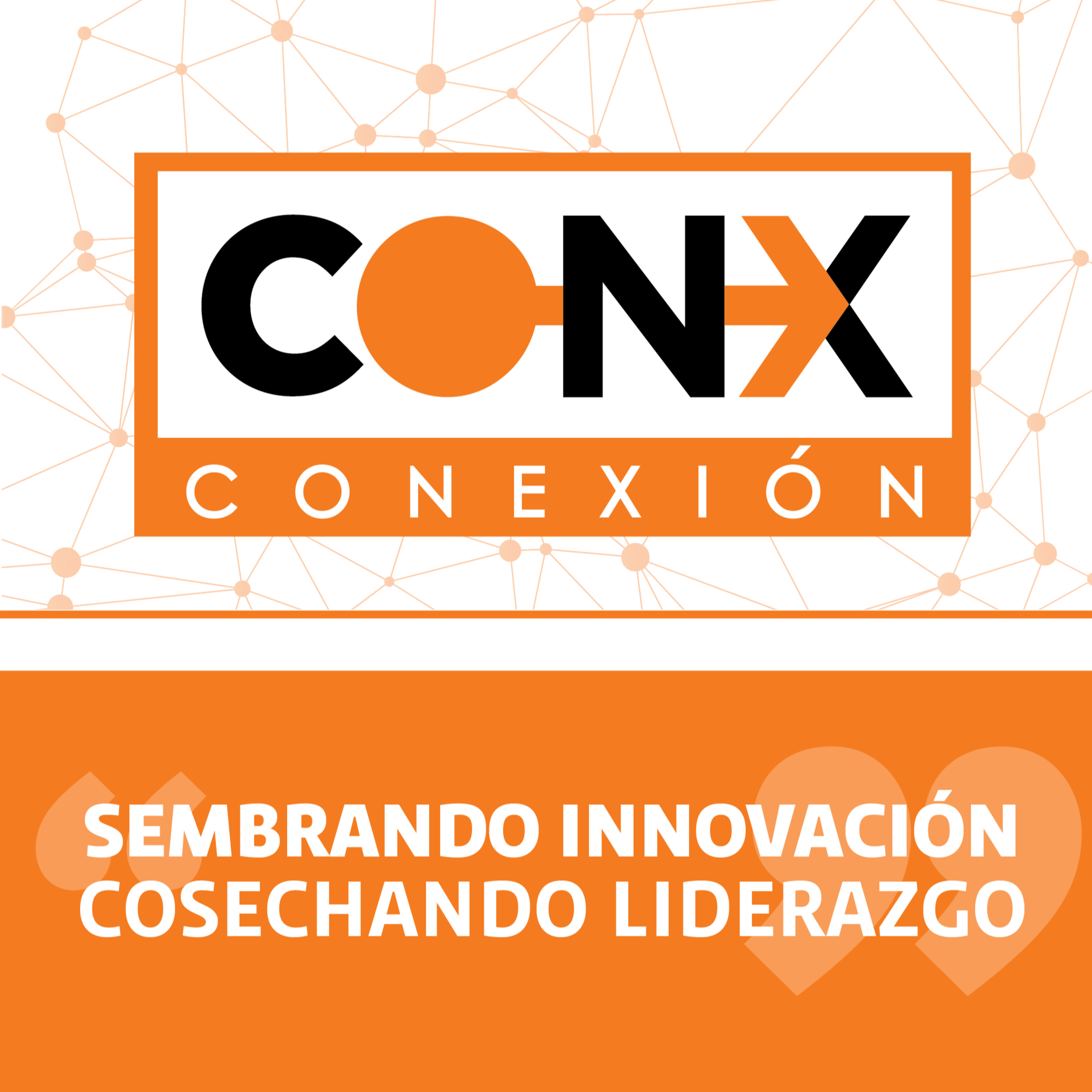 Conexión Digital UDLAP: Tendencias en la gestión organizacional