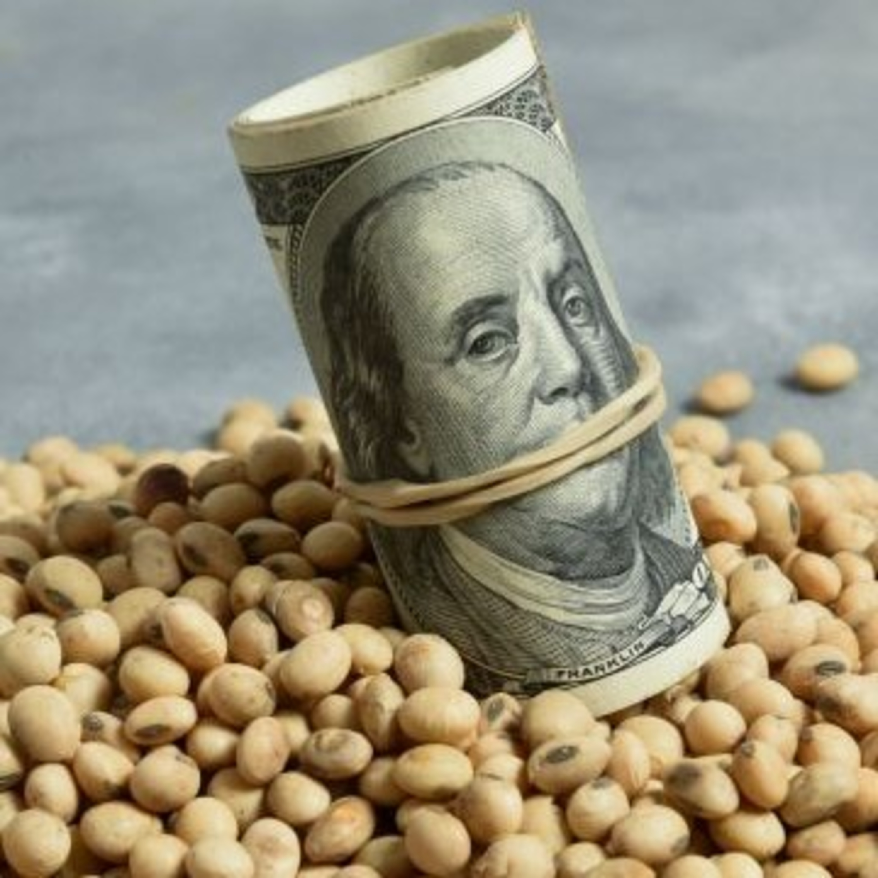 Nuevo dólar a 200 para la soja episode artwork