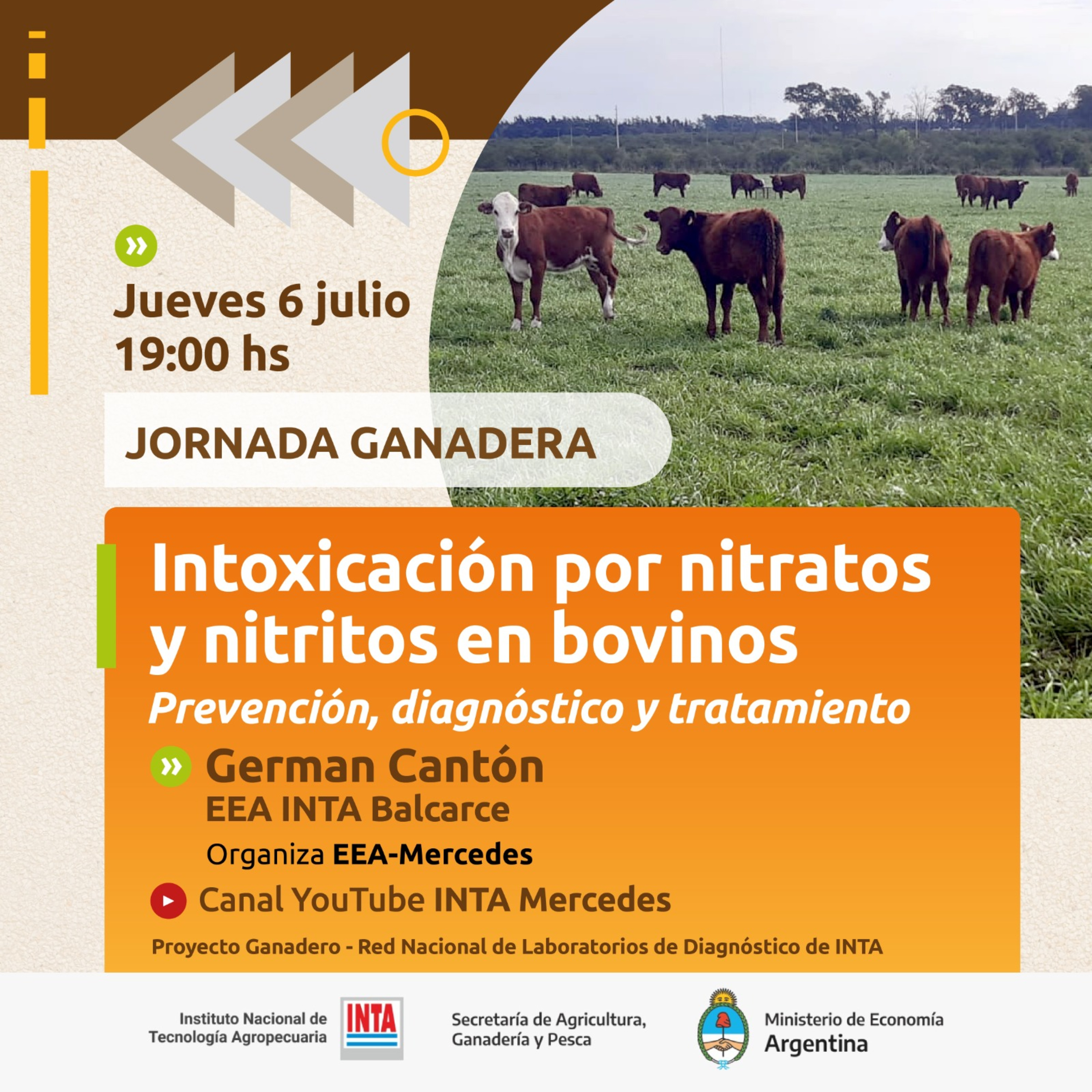 Intoxicación por nitrato episode artwork