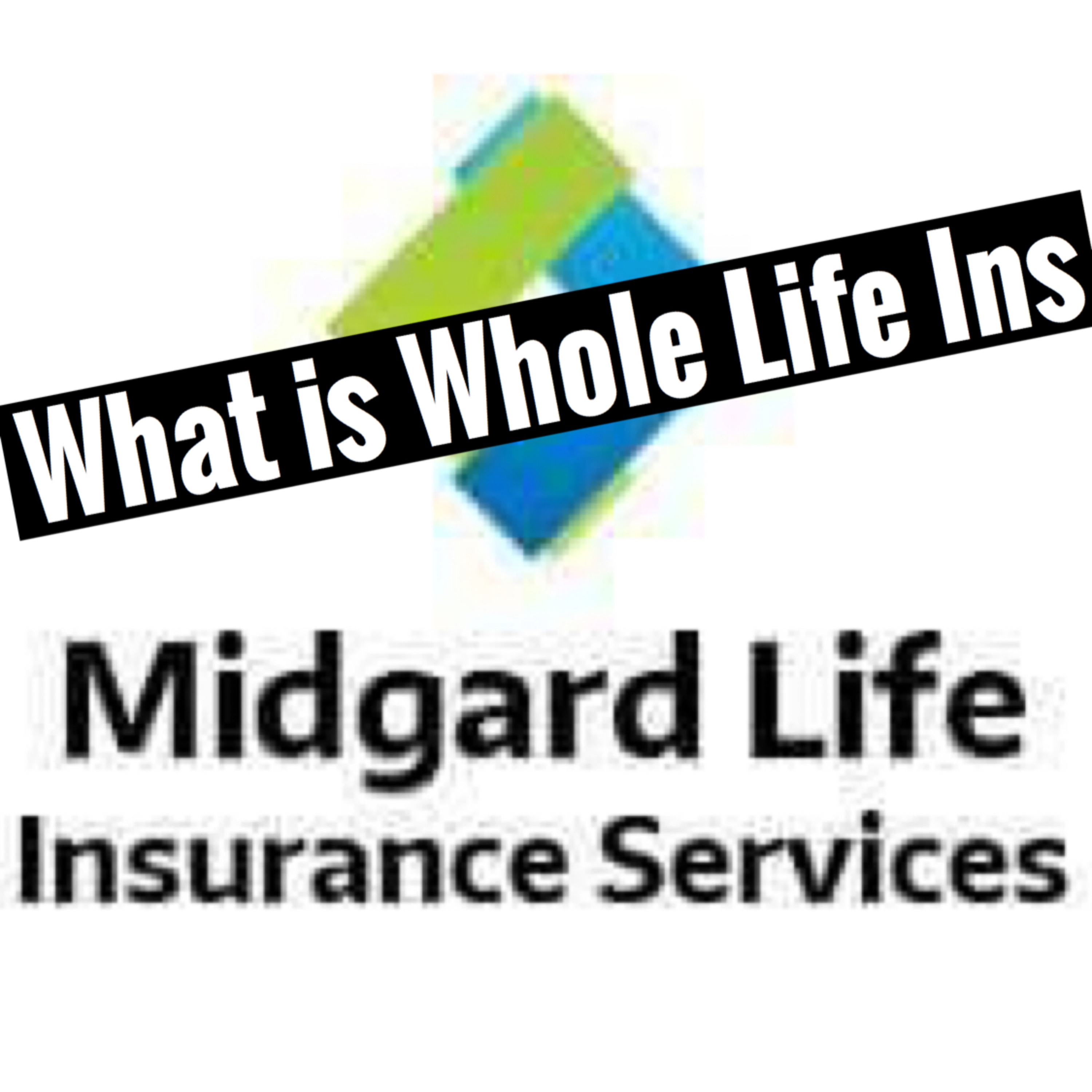 What is a Standard Whole Life Insurance policy Ep5 episode artwork