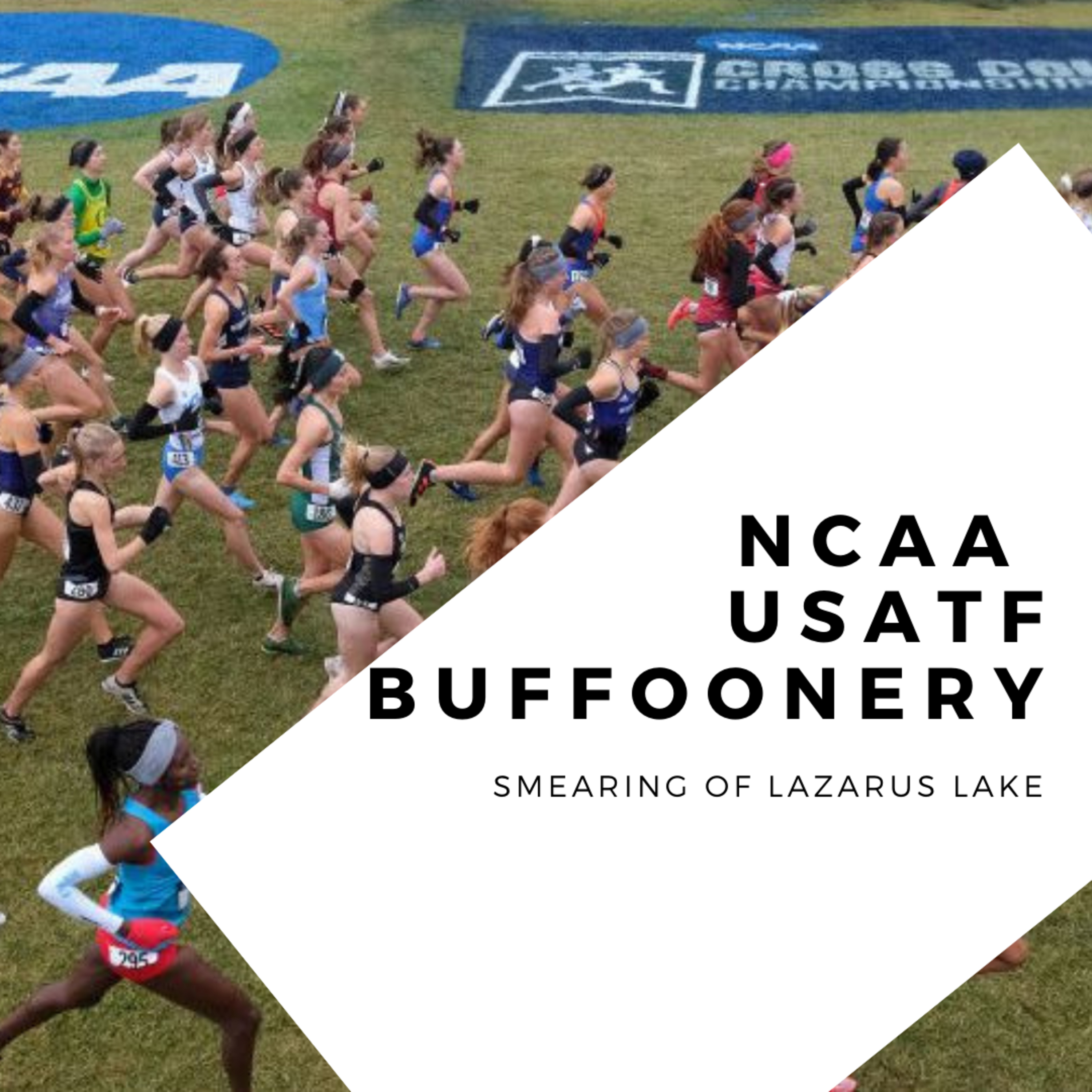 Endurance Noise & Random Musings