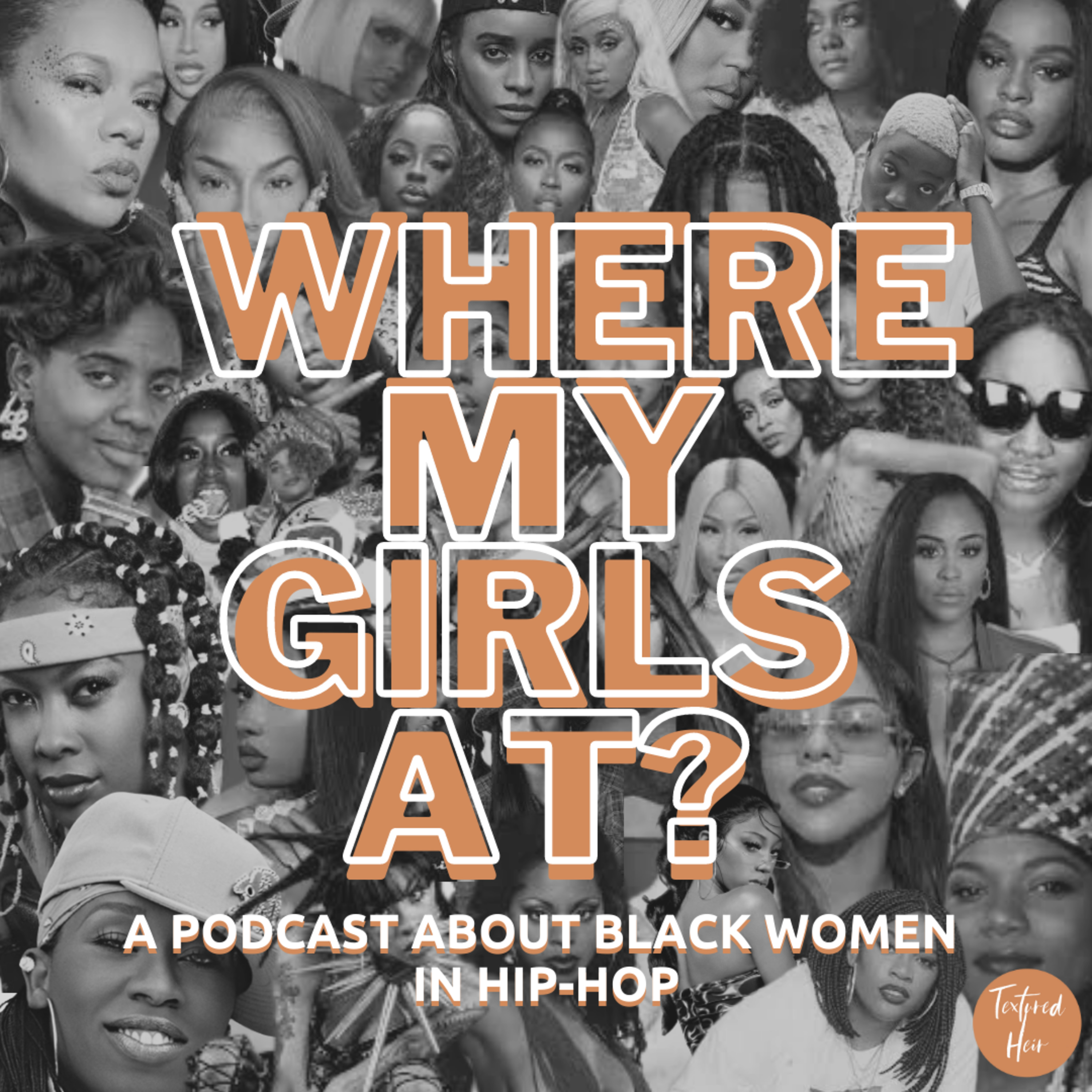 Video Vixens & Strippers in Hip-Hop episode artwork