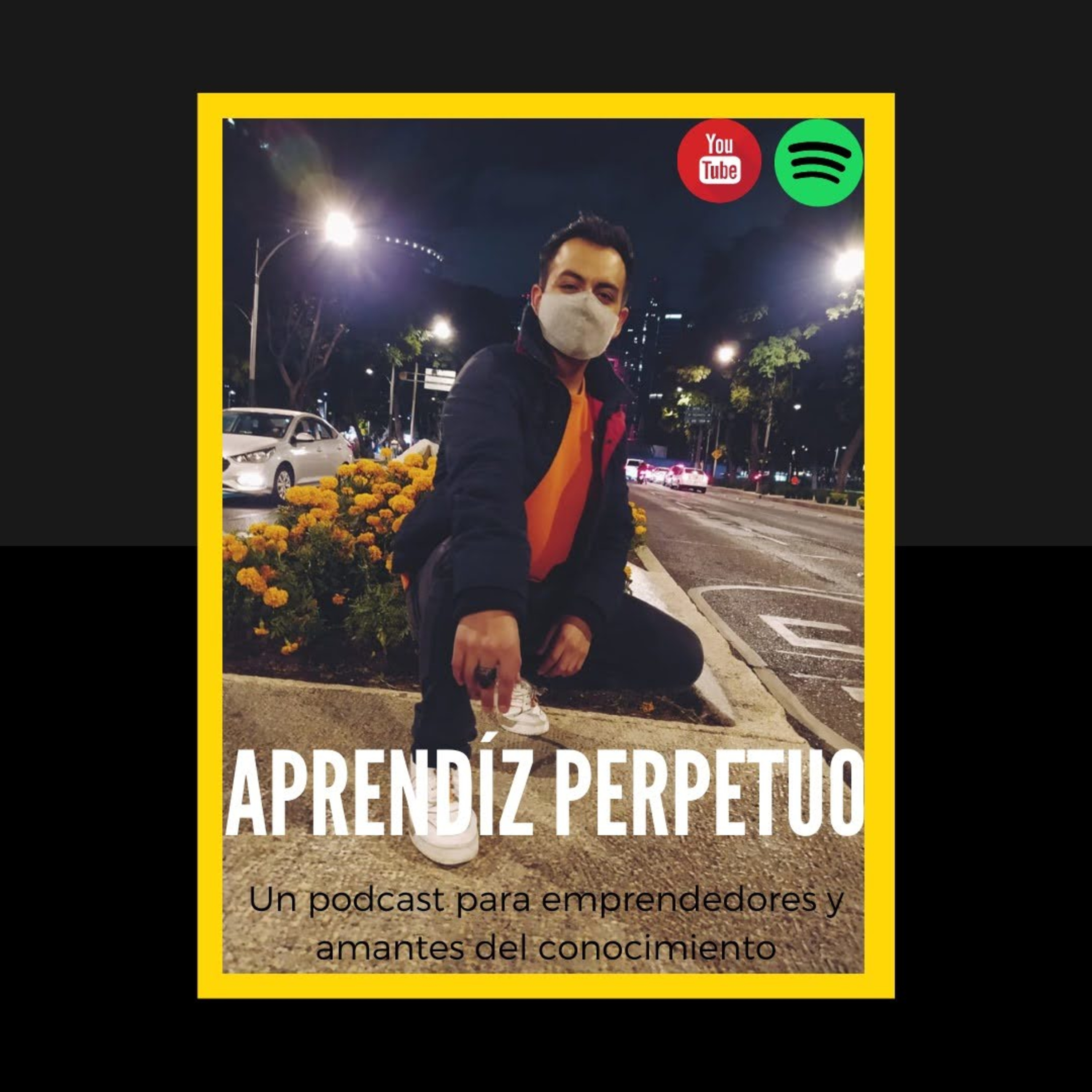 Aprendiz Perpetuo