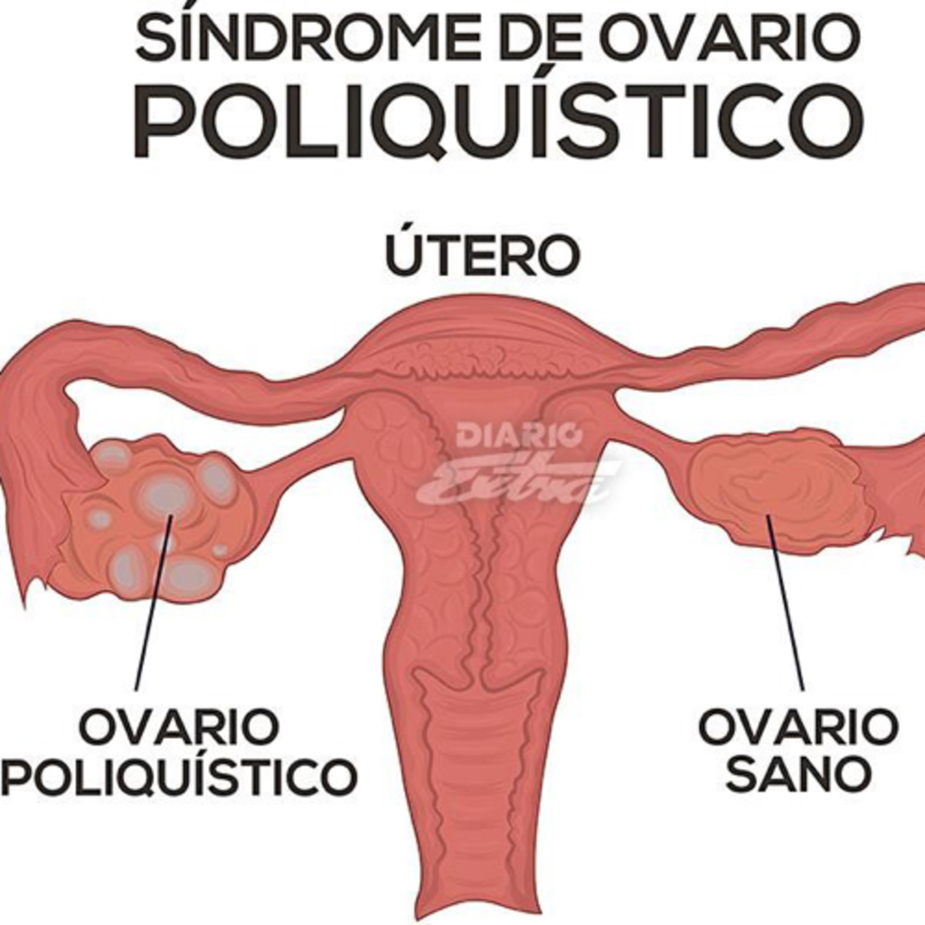Sé Tu Propia Medicina