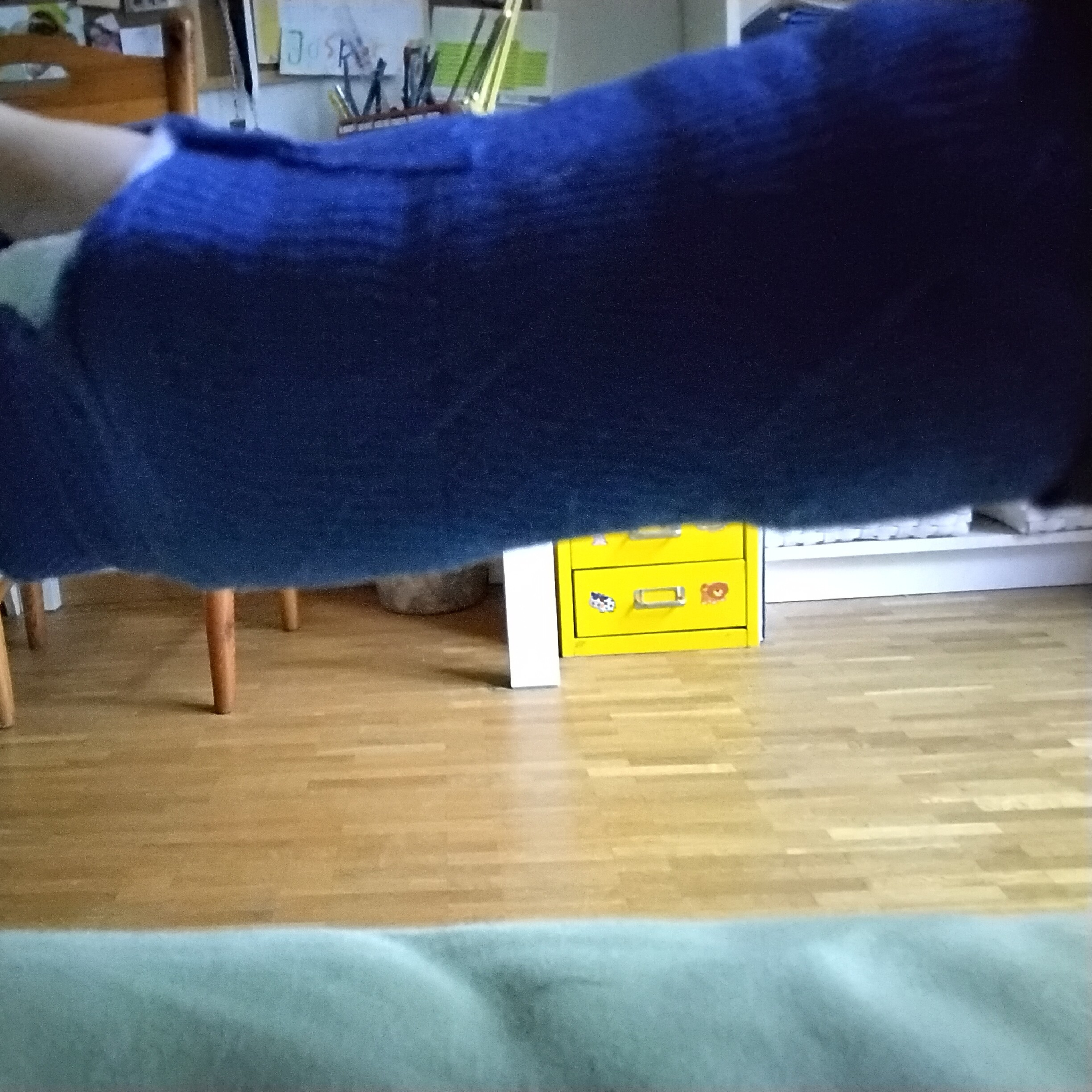 Das Gamer Eichhörnchen 🐿️