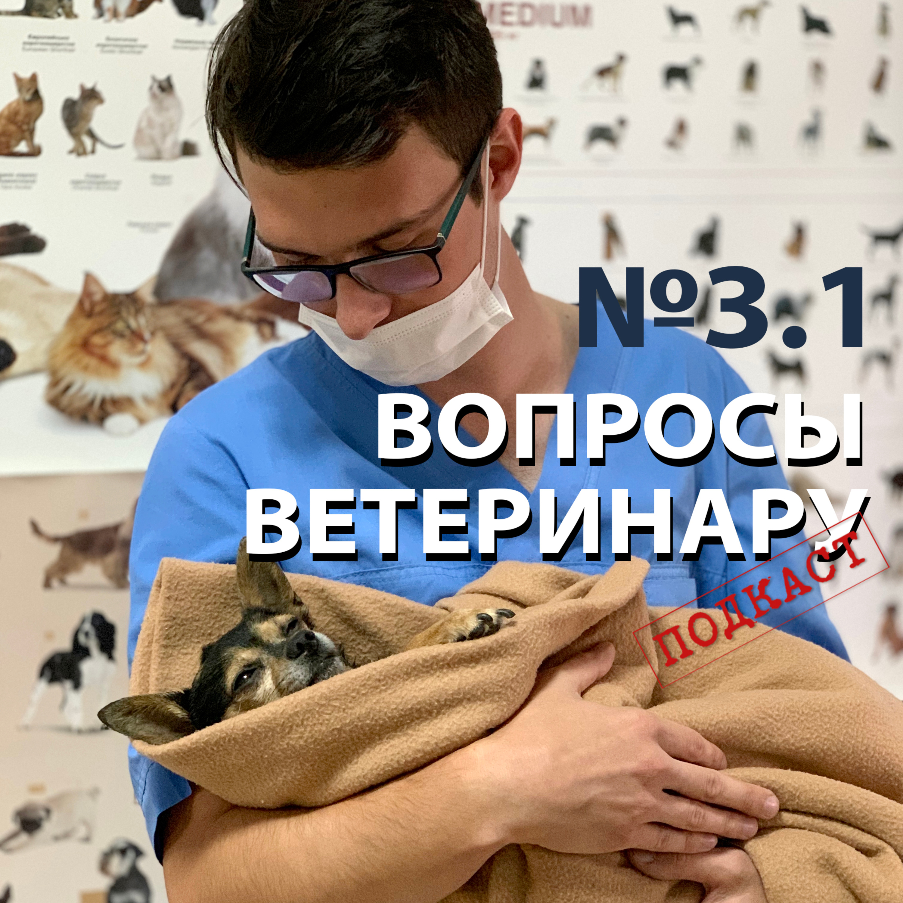 Подкаст «7 вопросов ПРО»