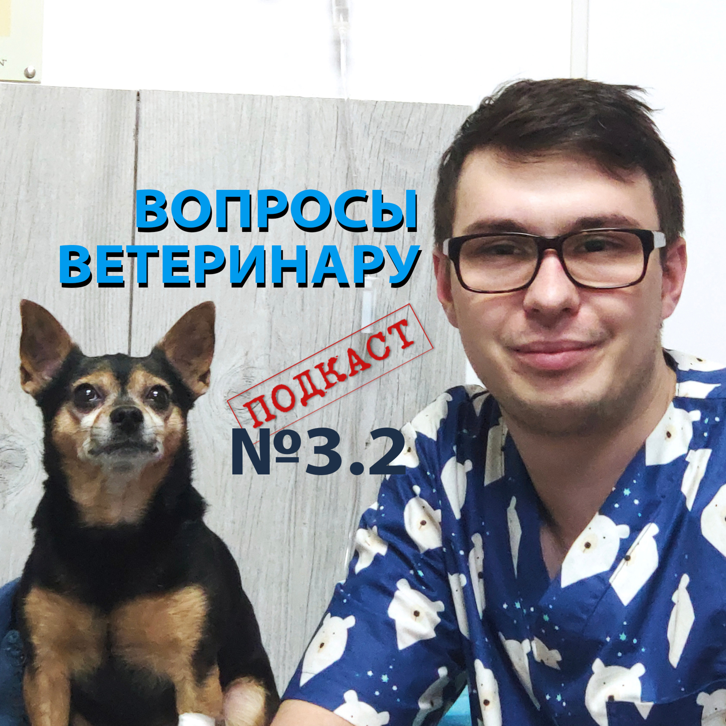 Подкаст «7 вопросов ПРО»