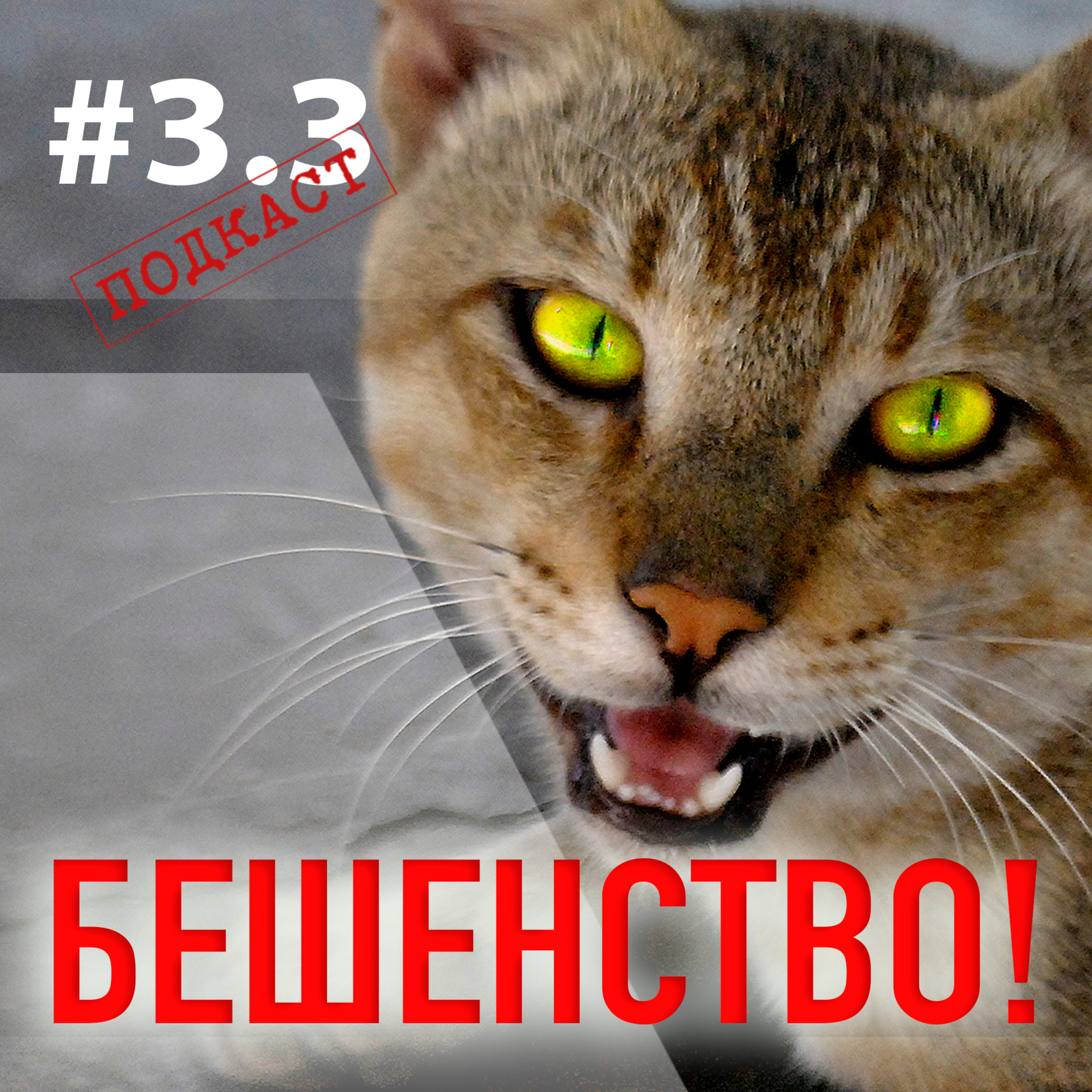 Подкаст «7 вопросов ПРО»