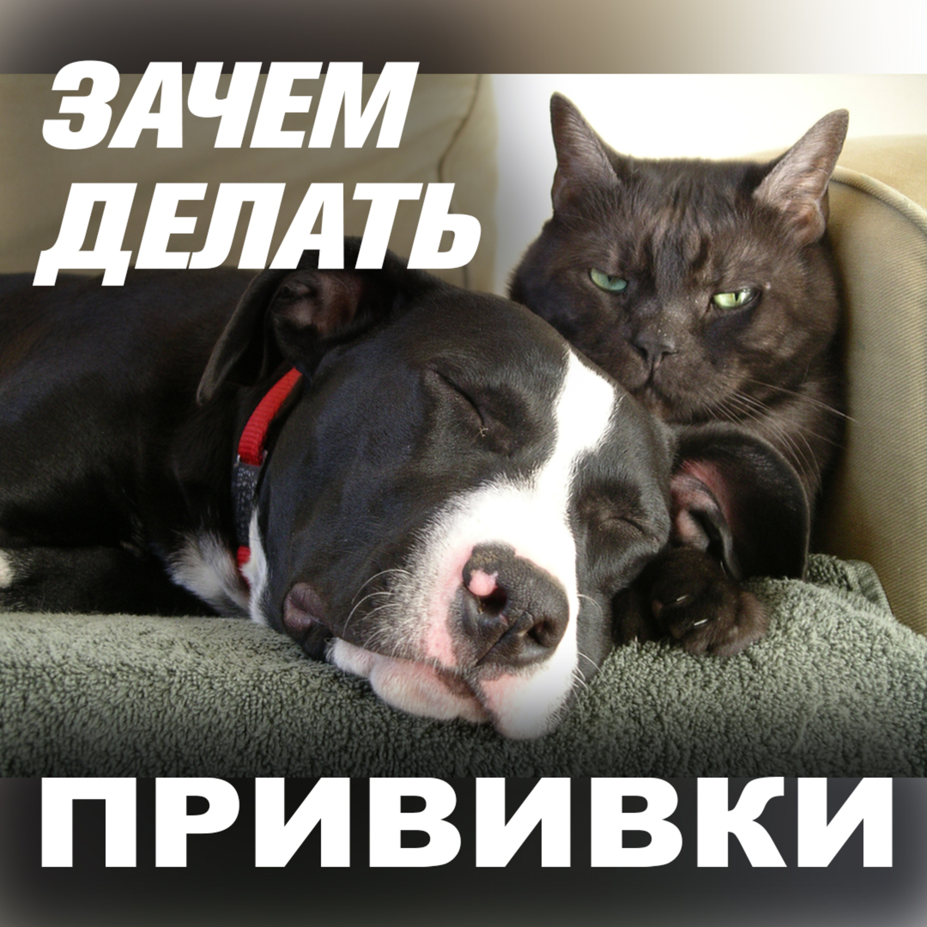 Подкаст «7 вопросов ПРО»