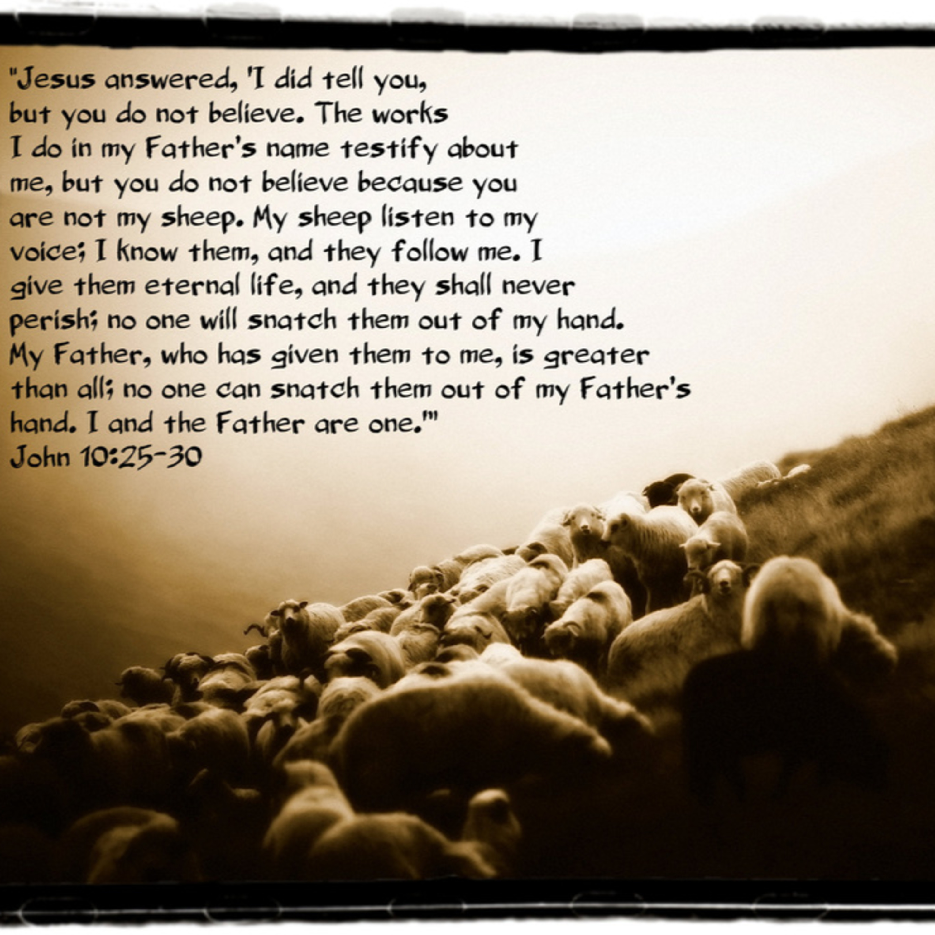 Sola Gratia Sermons Podcast