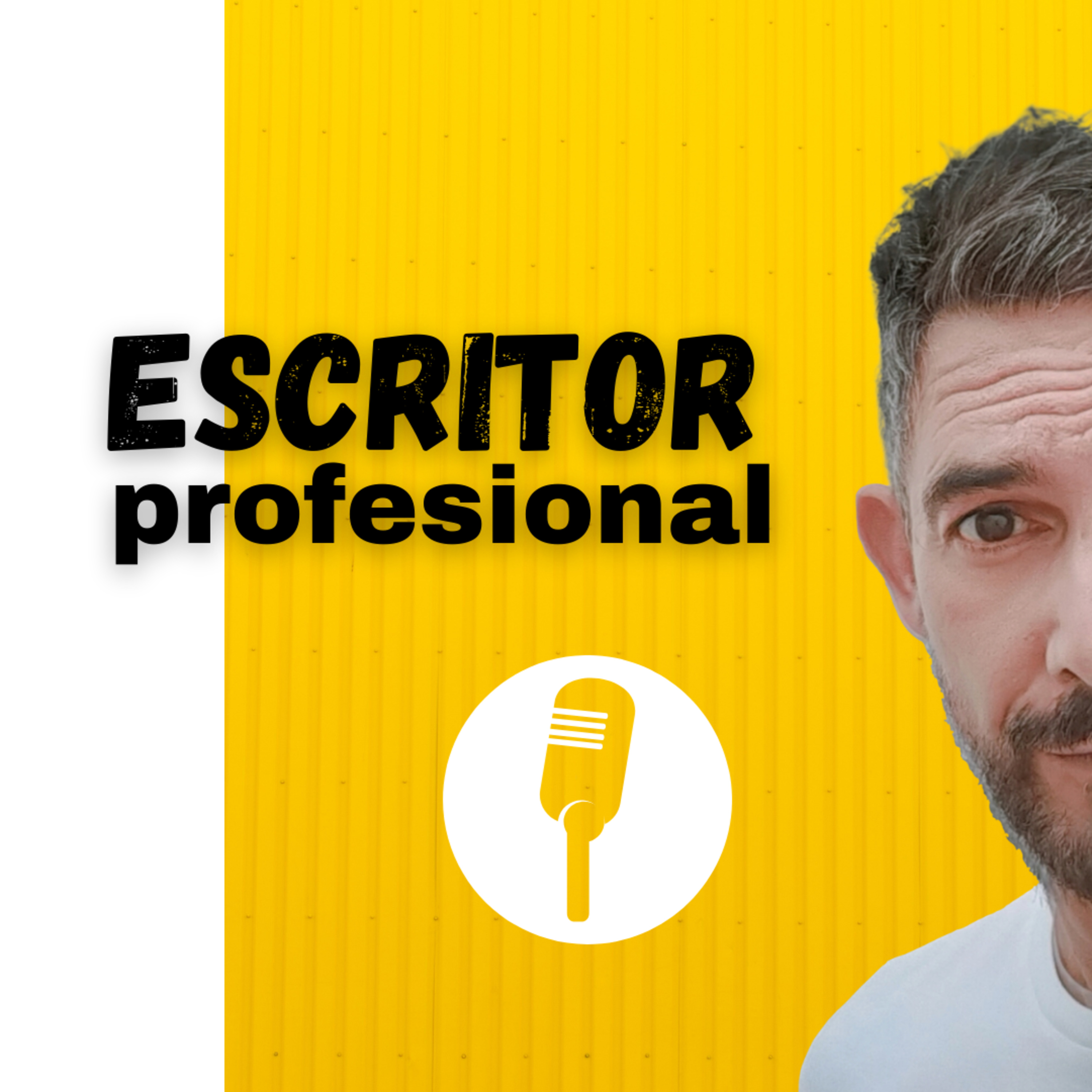 Escritor Profesional.