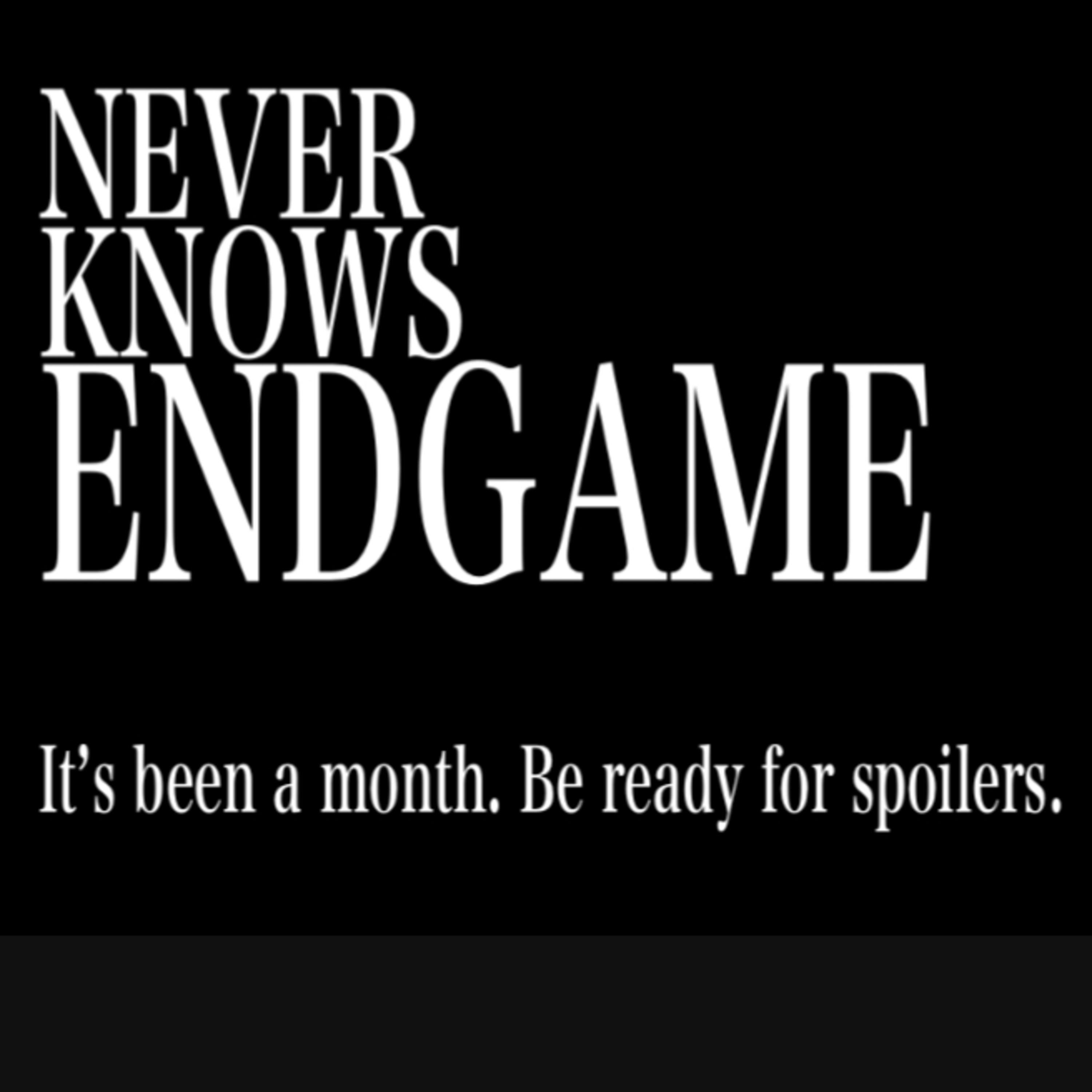 Never Know Endgame episode artwork