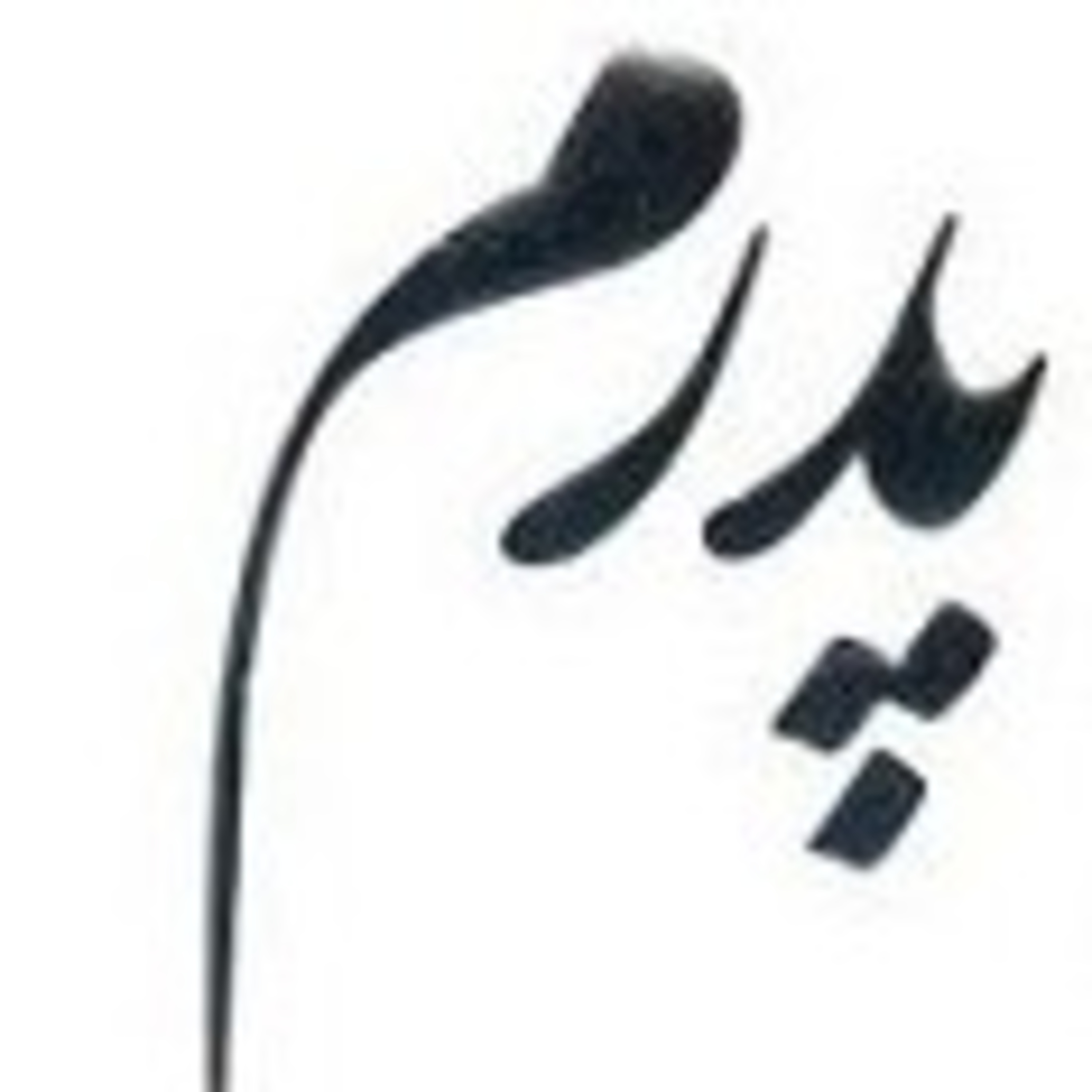 کاور به یاد پدران آسمانی