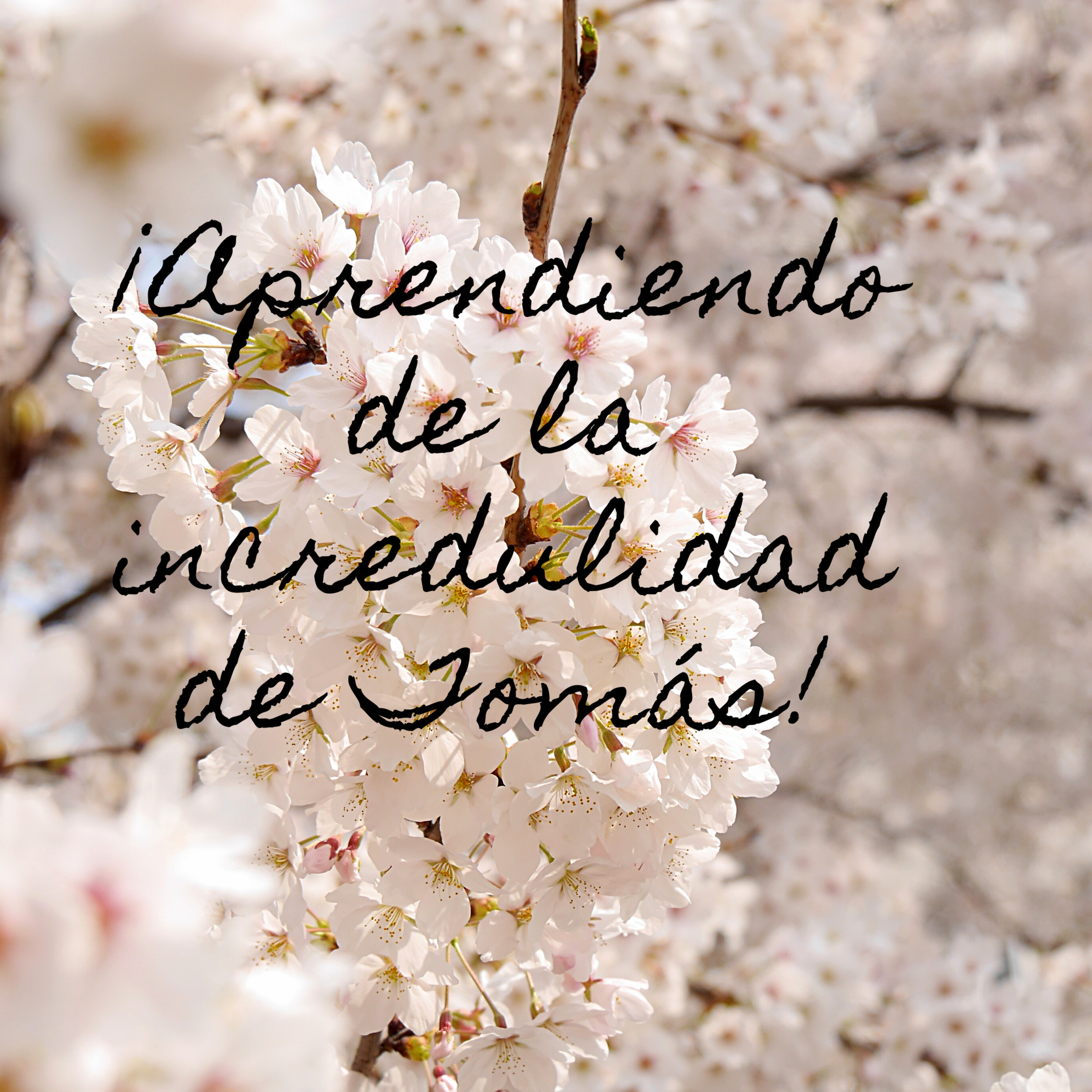 De la incredulidad de Tomás! 