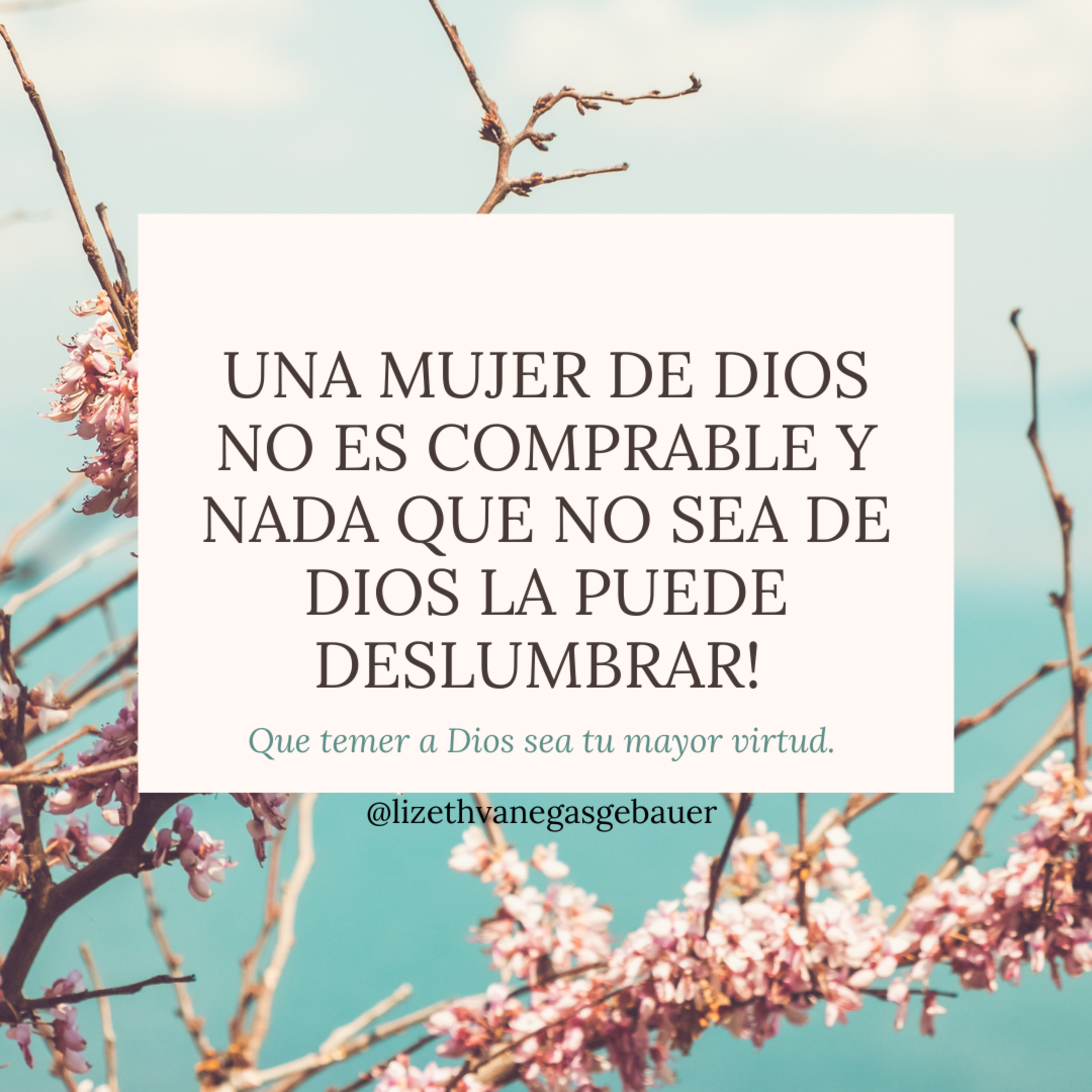 Ser una mujer virtuosa!  episode artwork