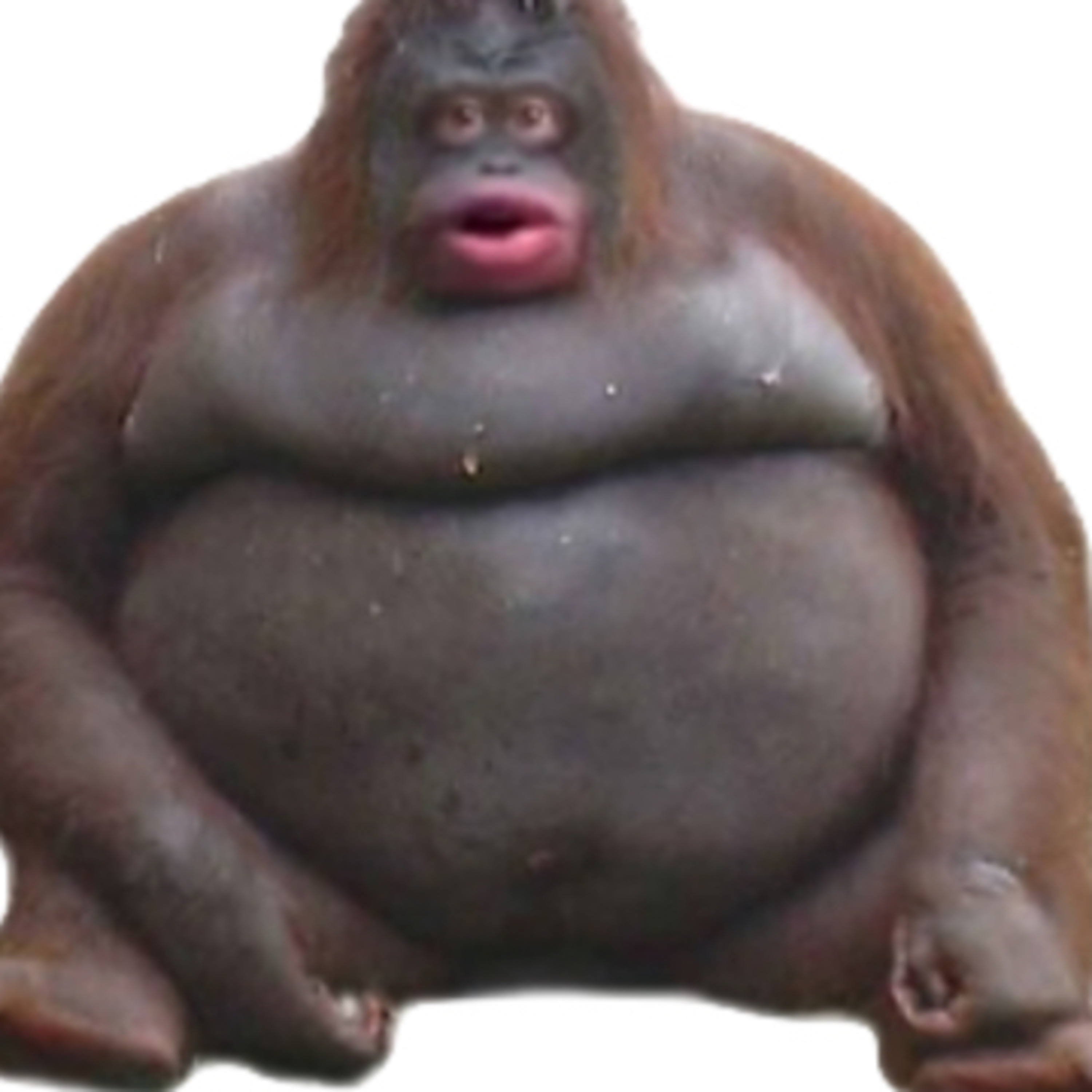 TheLunchTable
