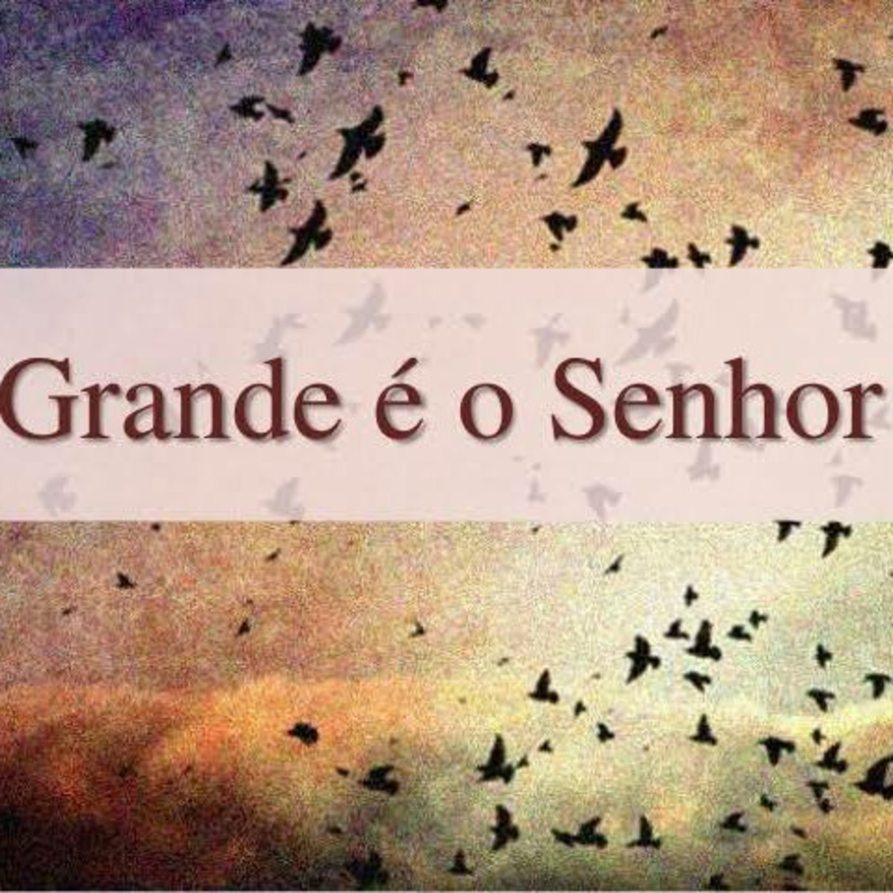Milagre diário  episode artwork