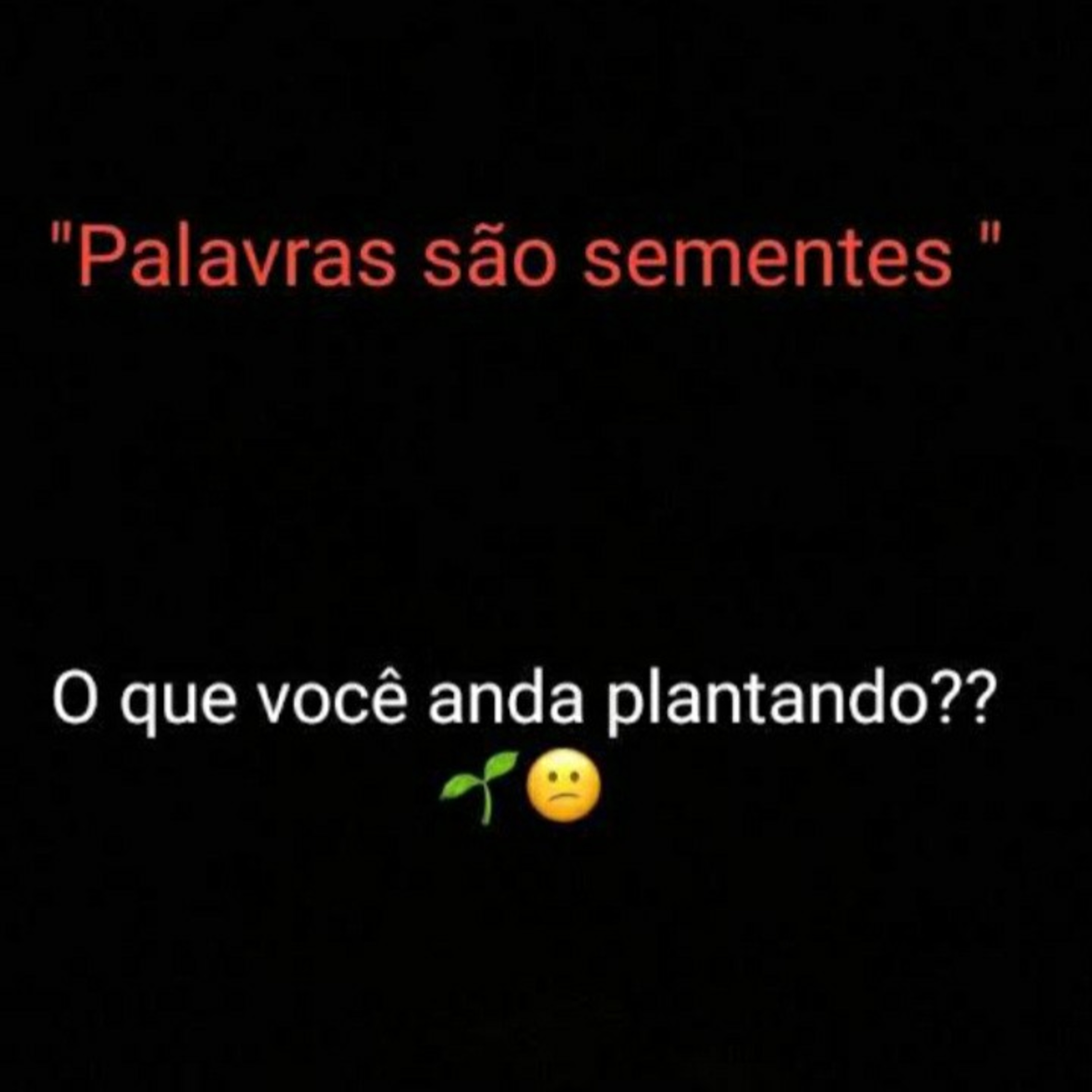Milagre diário  episode artwork