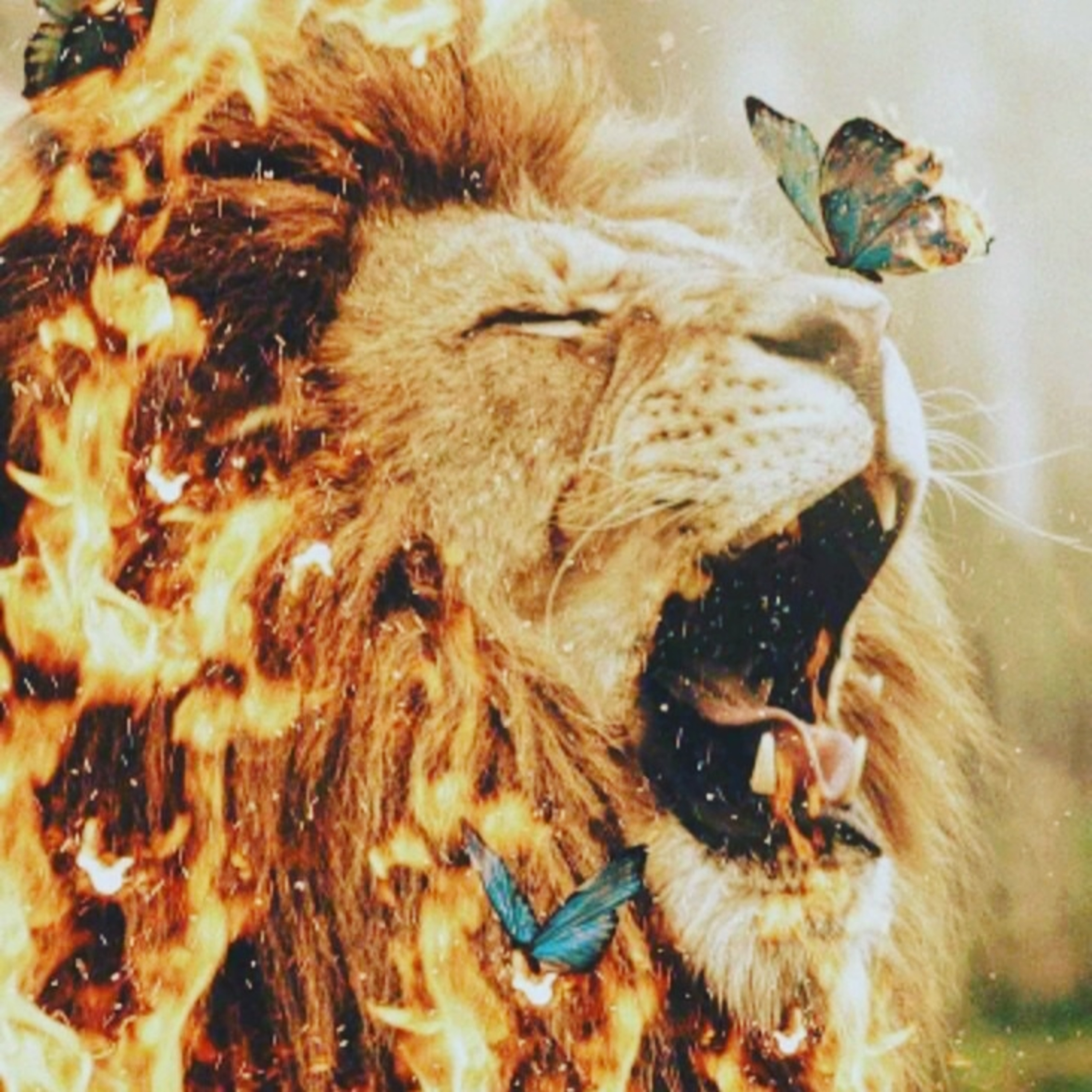 Milagre diário. episode artwork
