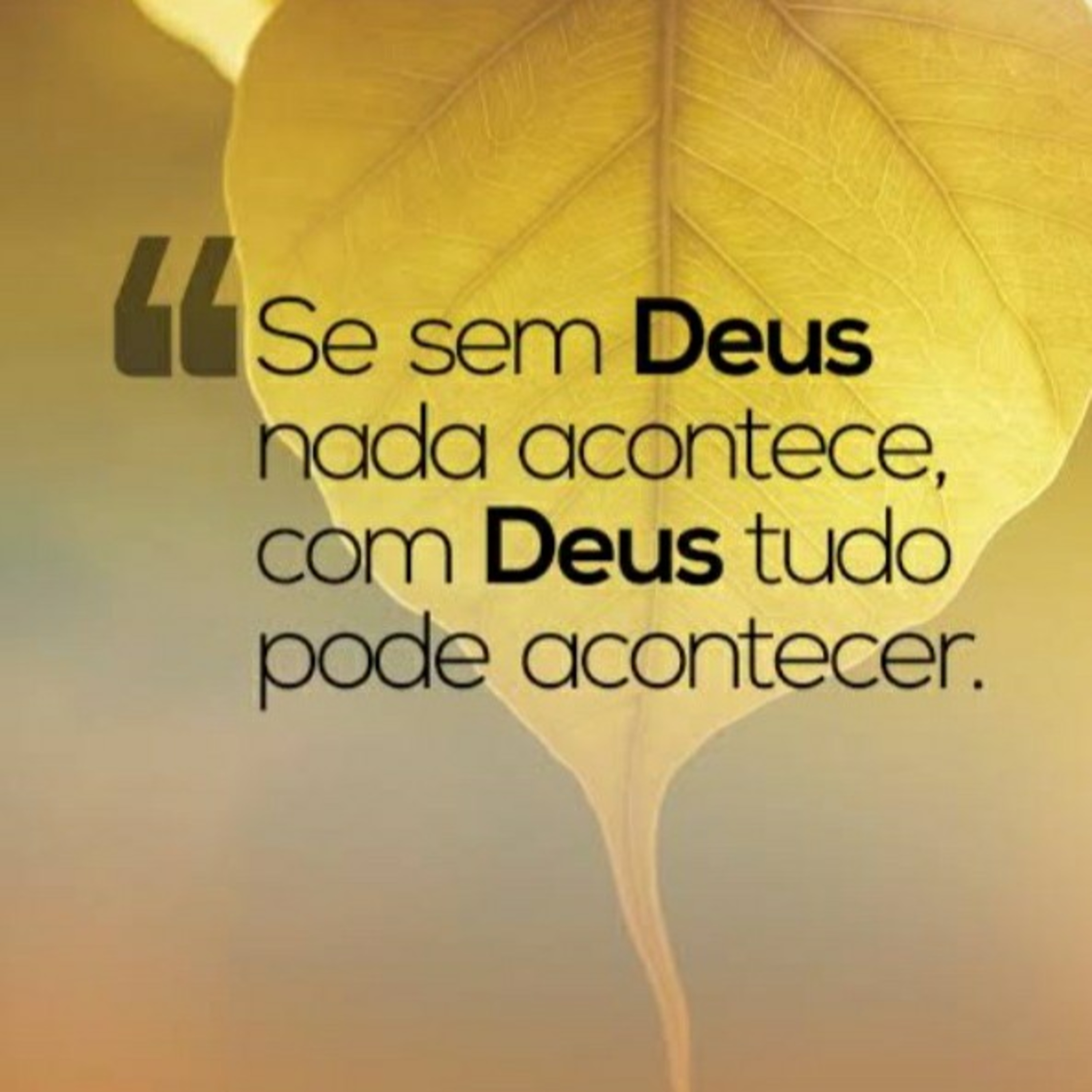 Milagre diário. episode artwork