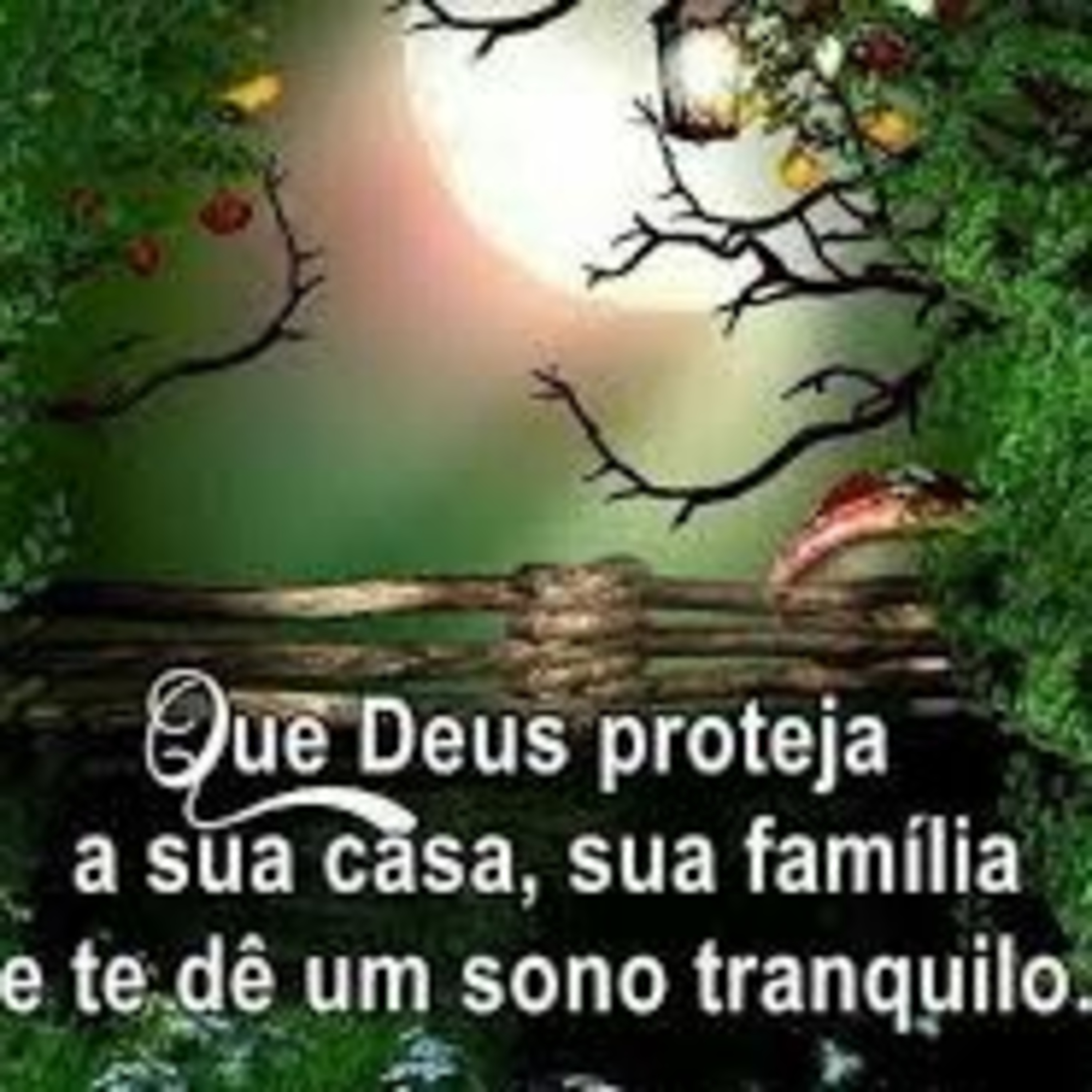 Milagre diário