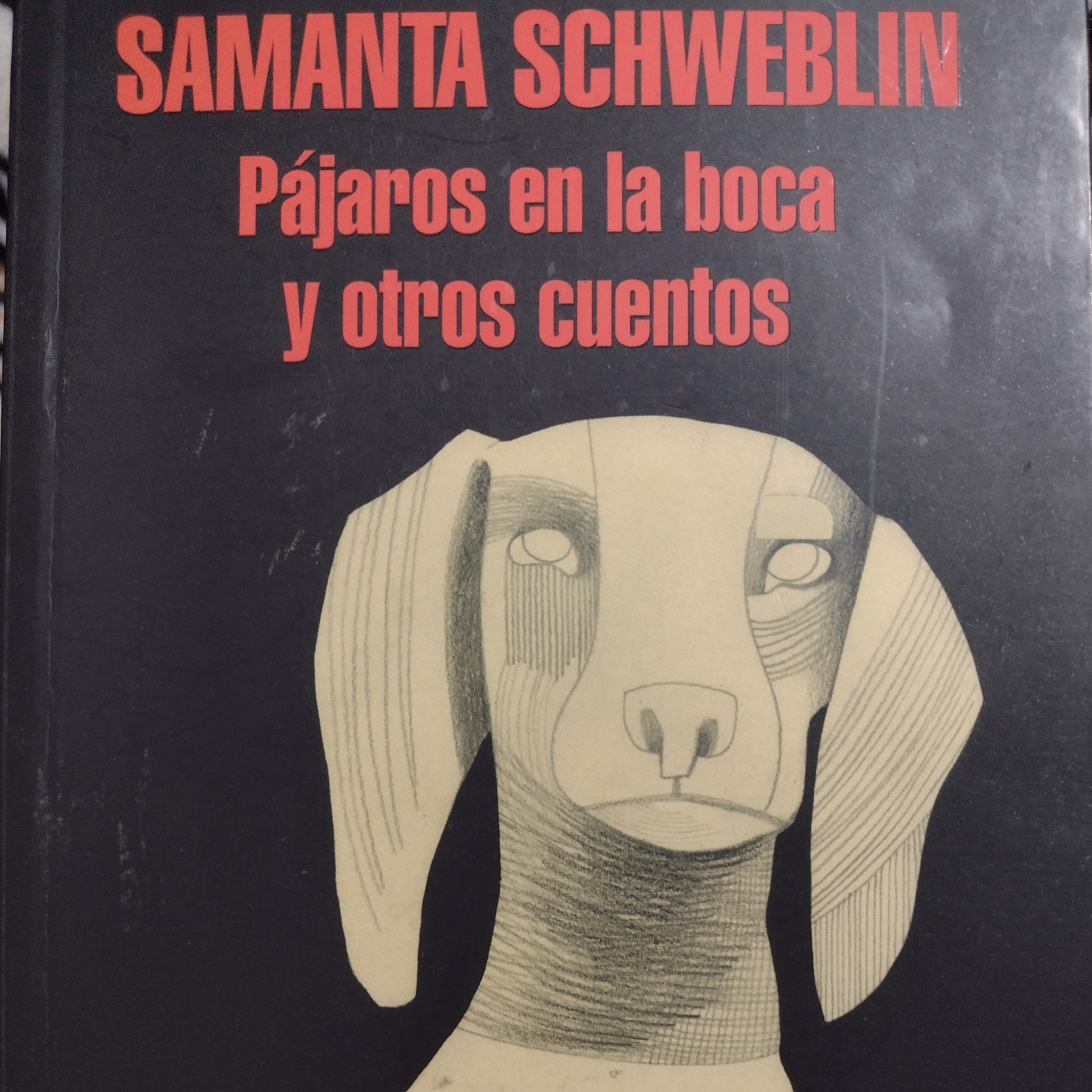 Literatura Infantil y Juvenil
