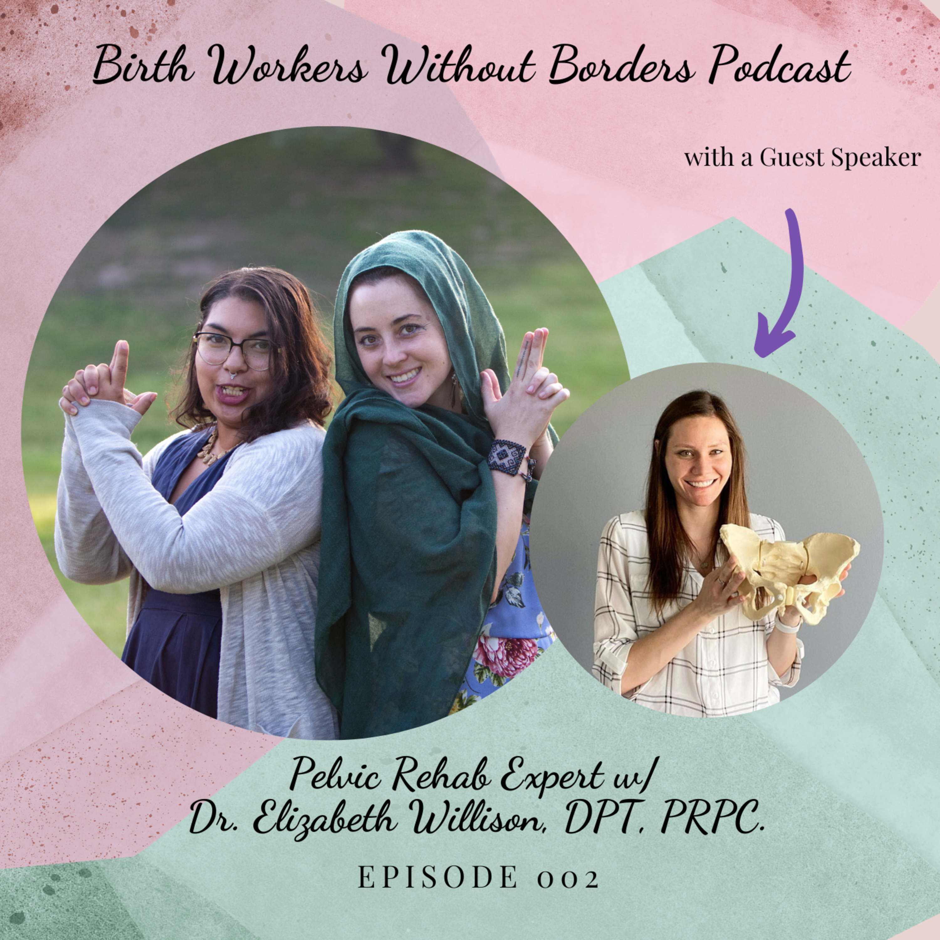Episode 2: Interview Dr. Elizabeth Willison Pelvic Floor Rehab Expert episode artwork