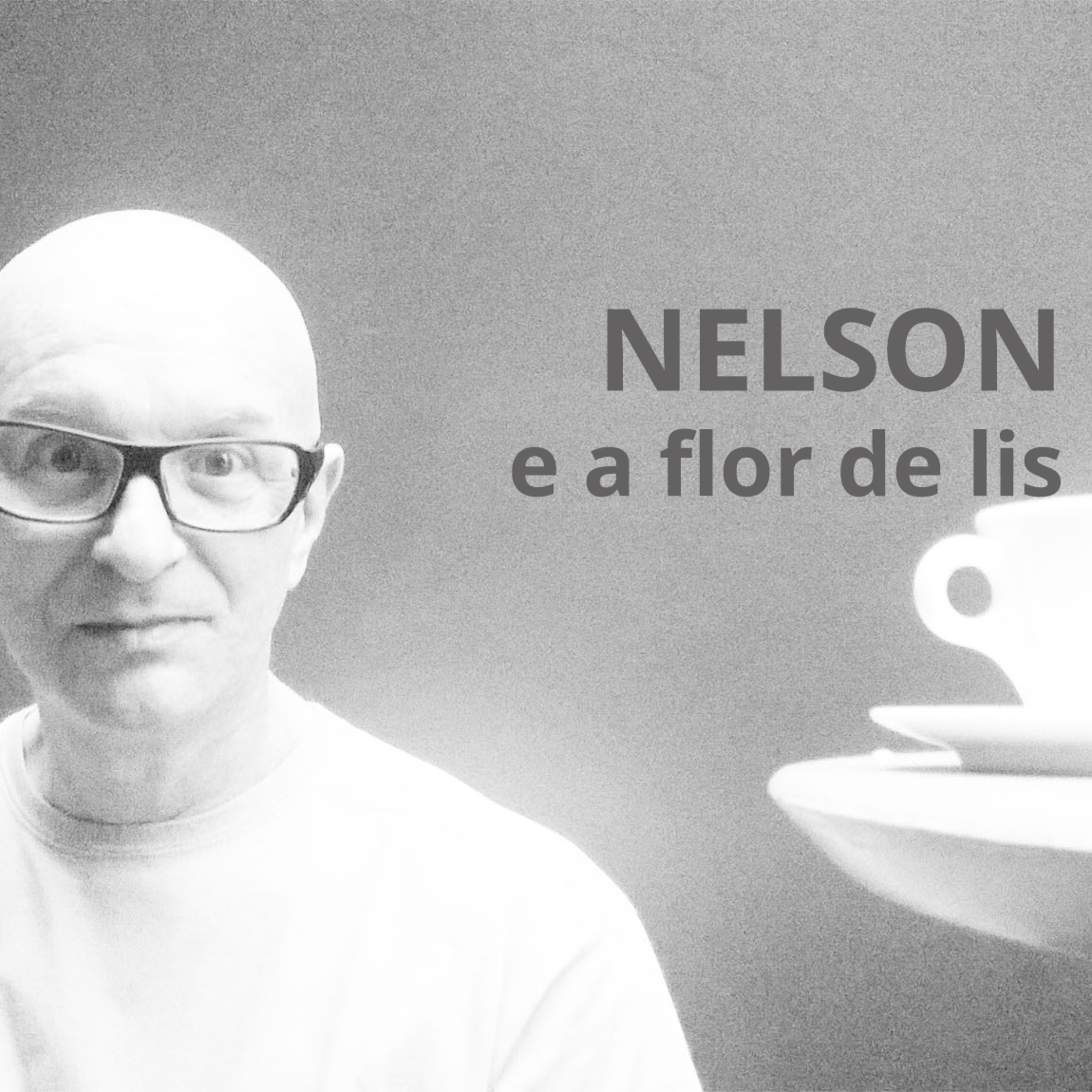 Nelson Rodrigues e a flor de lis episode artwork