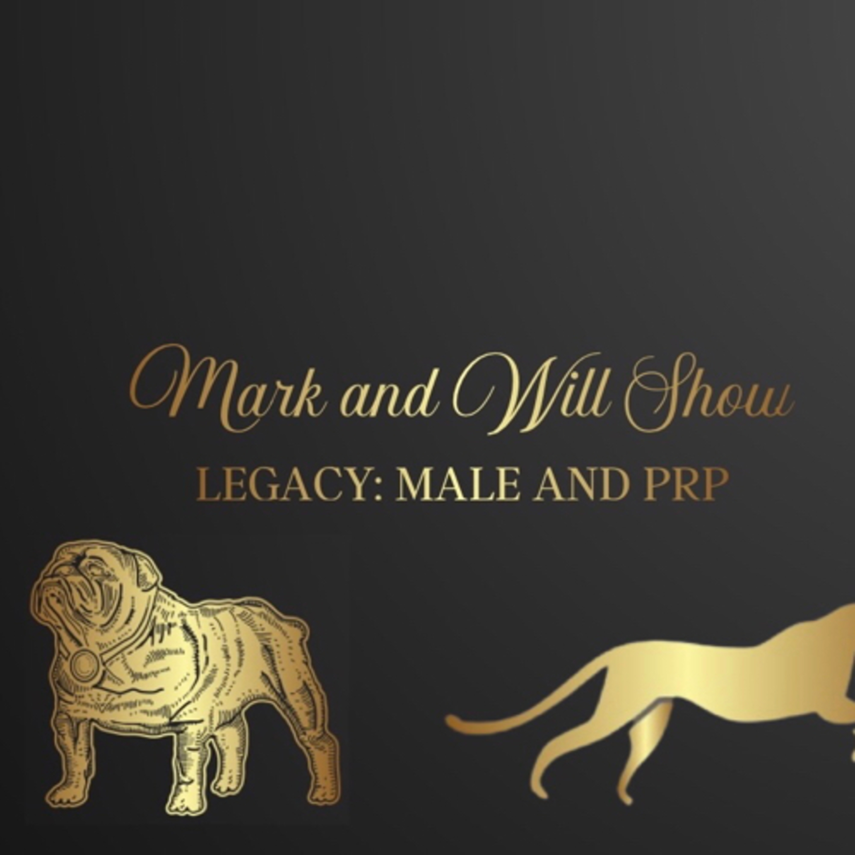 Mark and Will Show