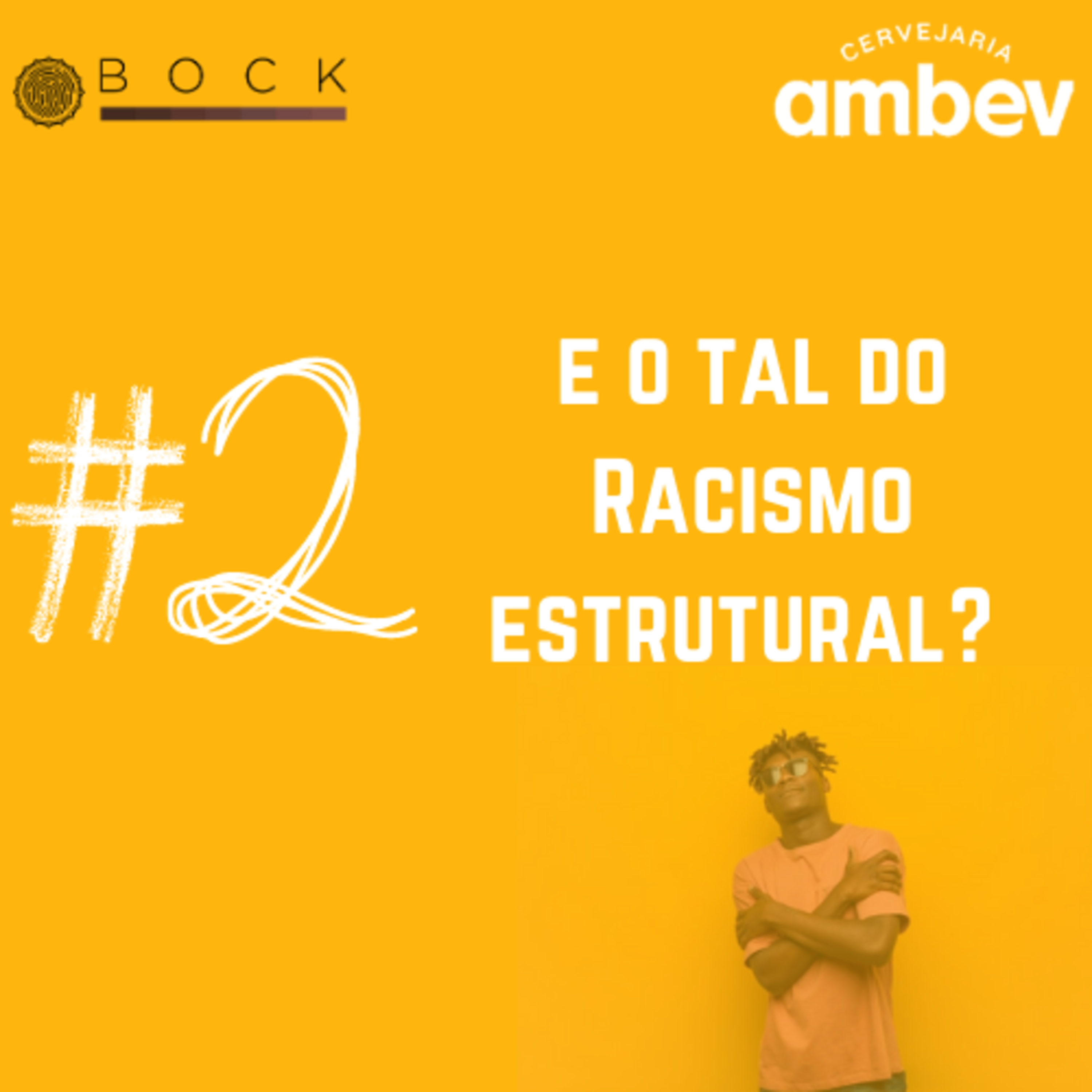 #2 E o tal do racismo estrutural?  episode artwork